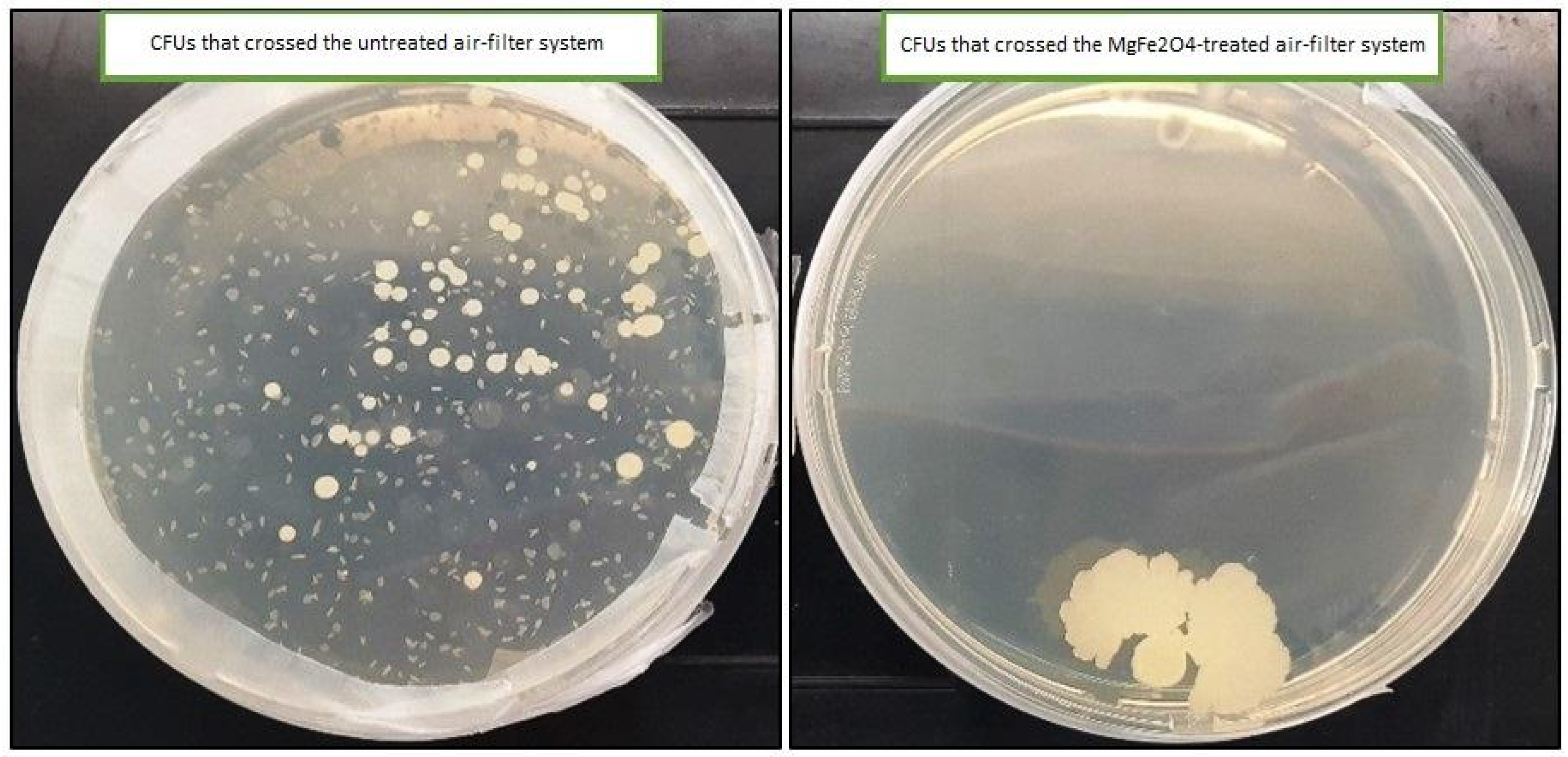 Catalysts 15 00365 g009