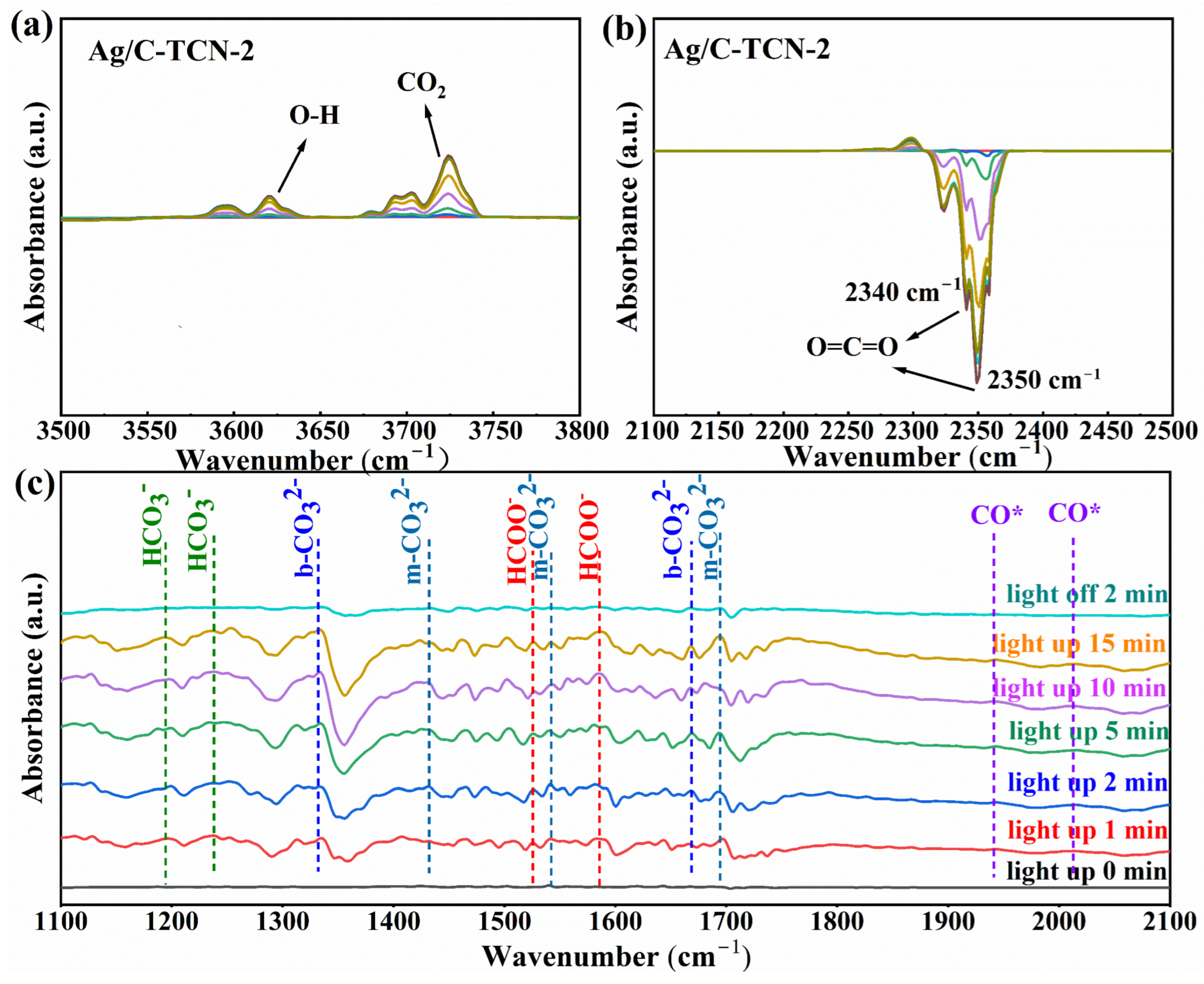 Catalysts 15 00369 g009