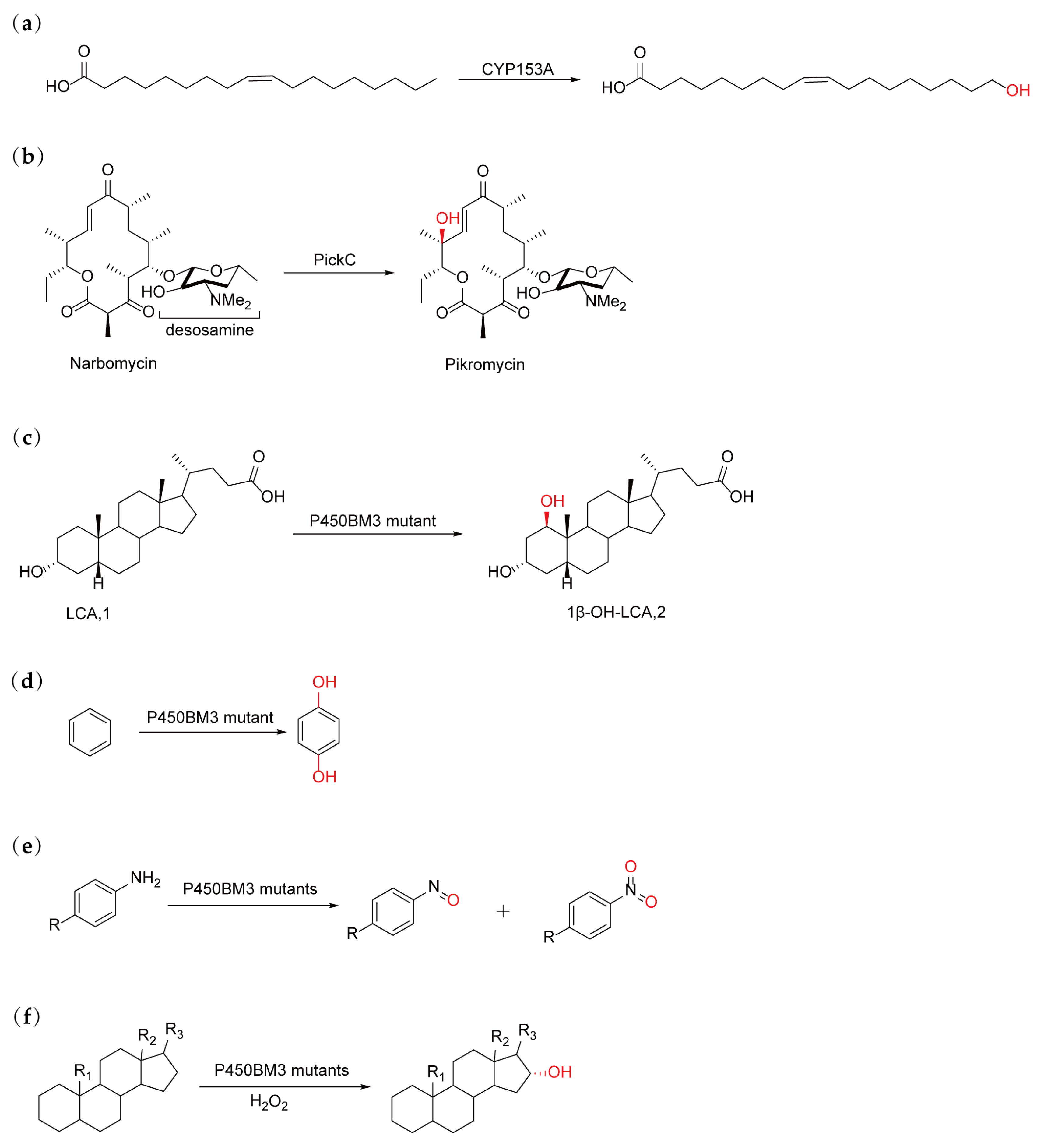 Catalysts 15 00374 g004