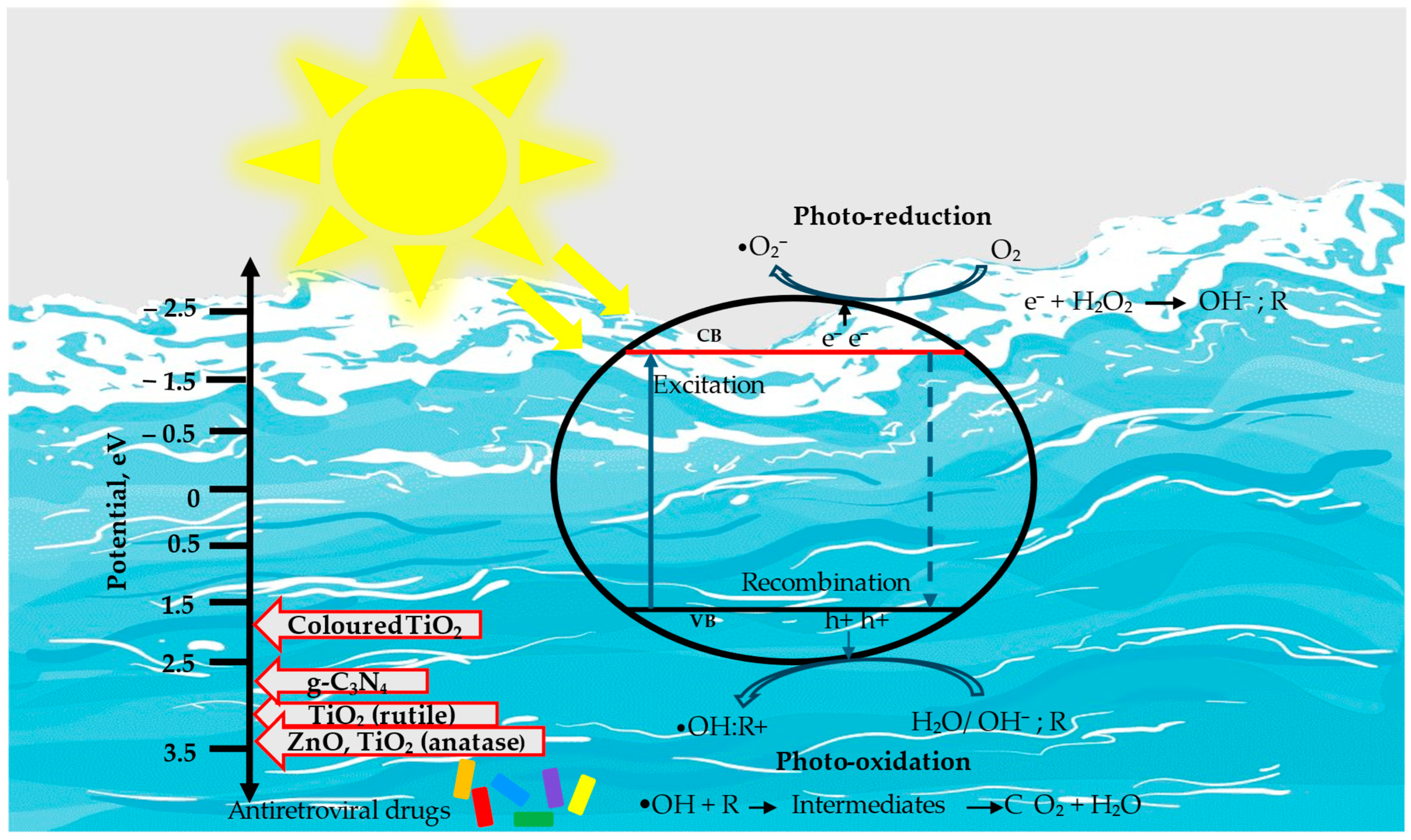 Catalysts 15 00381 g005