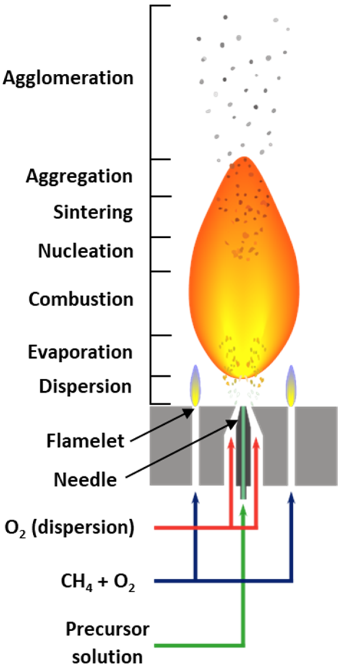 Catalysts 15 00383 g007