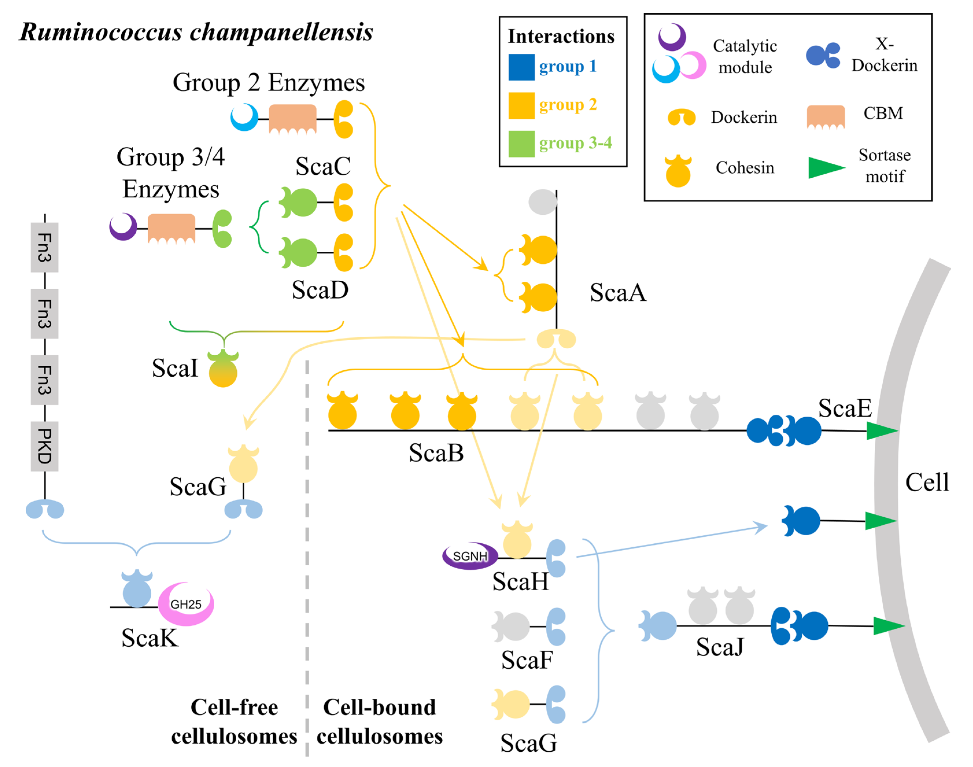 Catalysts 15 00387 g003
