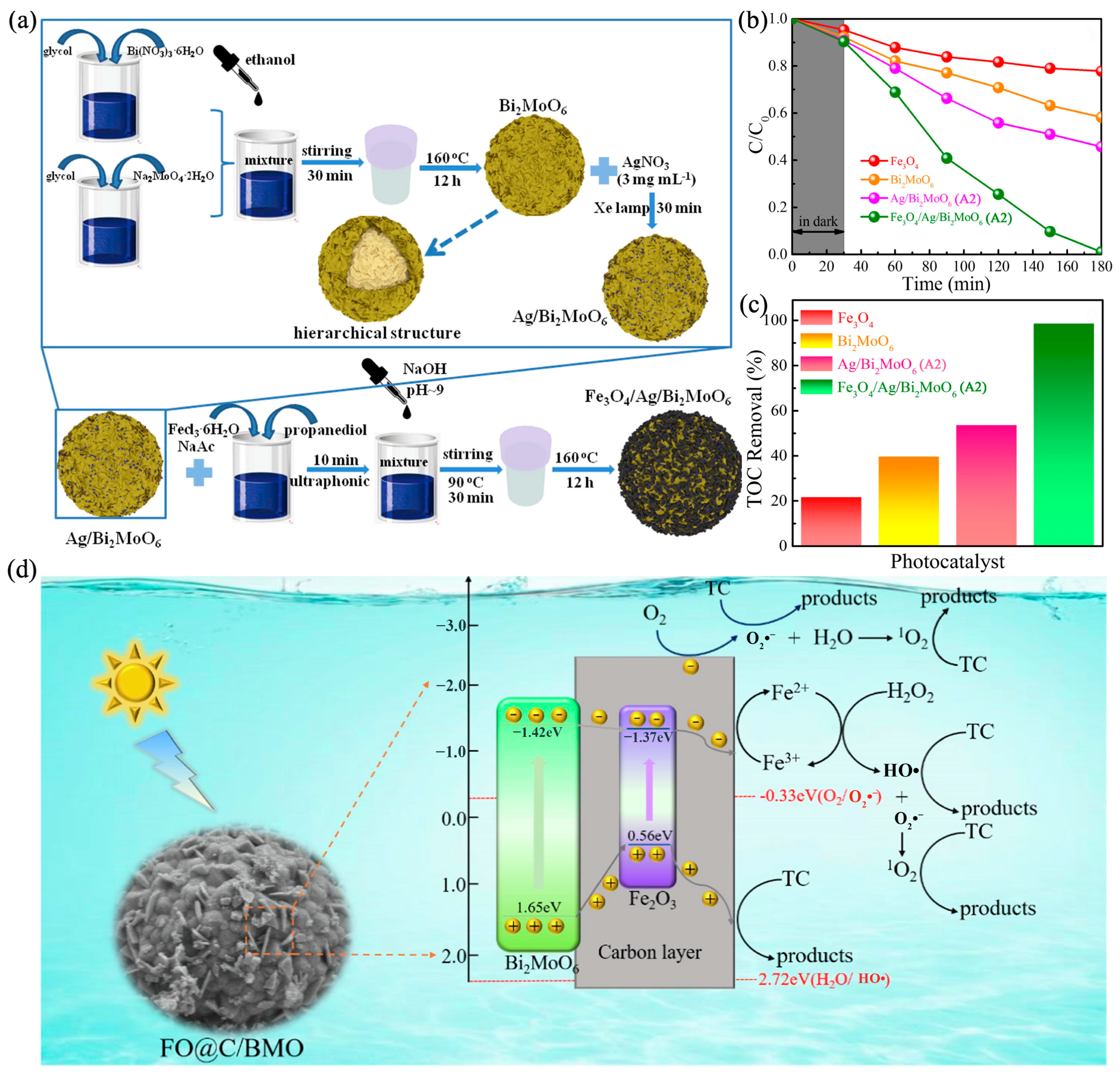 Catalysts 15 00391 g010