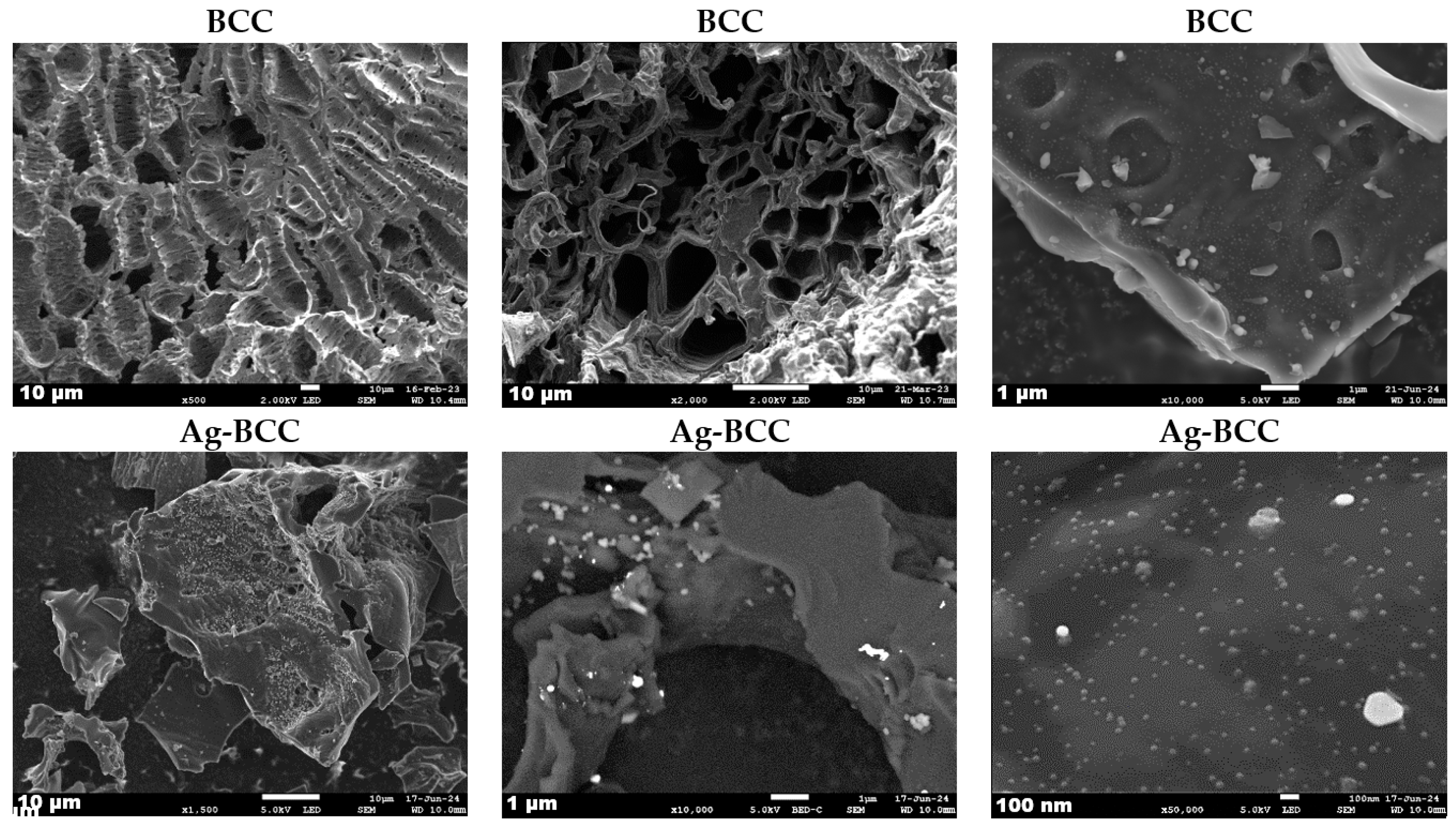Catalysts 15 00392 g004