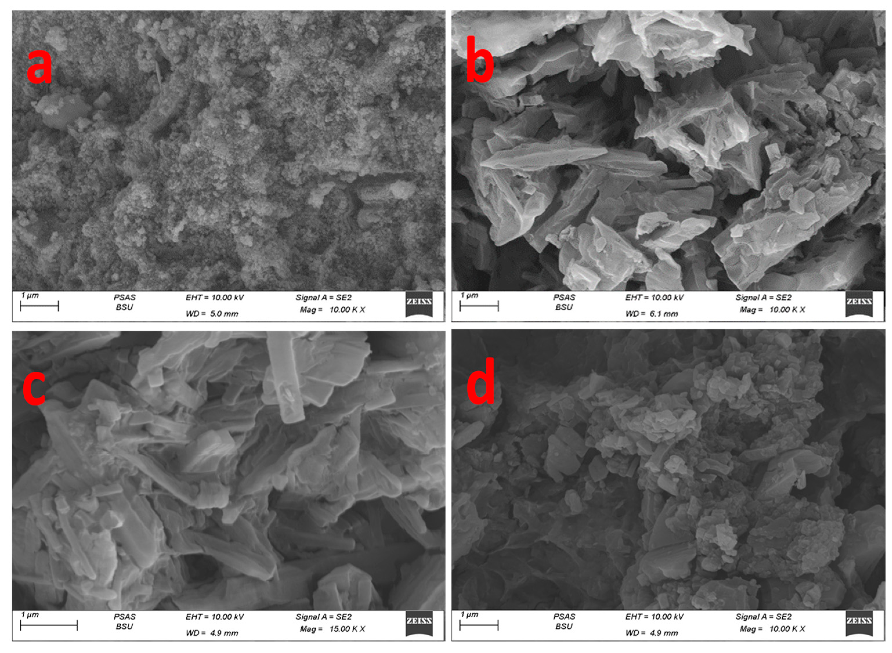 Catalysts 15 00394 g004