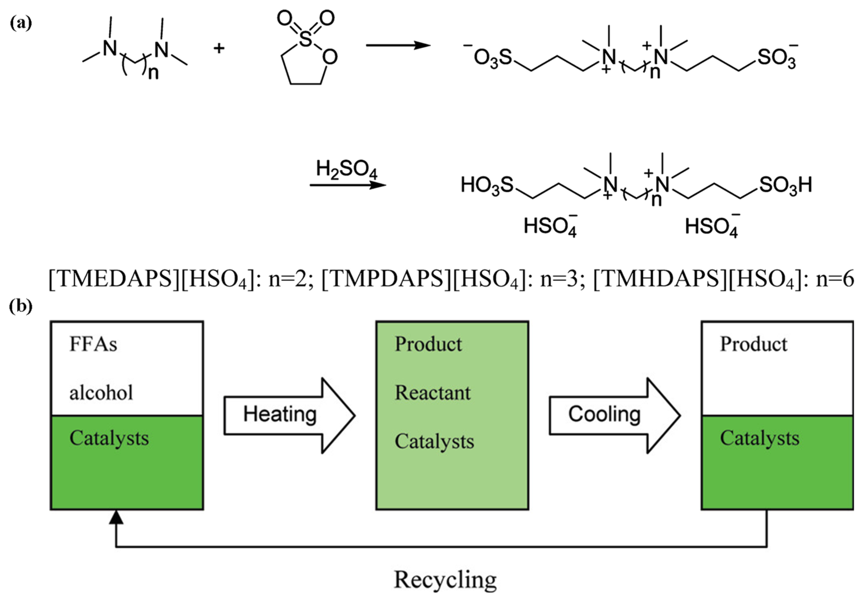 Catalysts 15 00396 g014