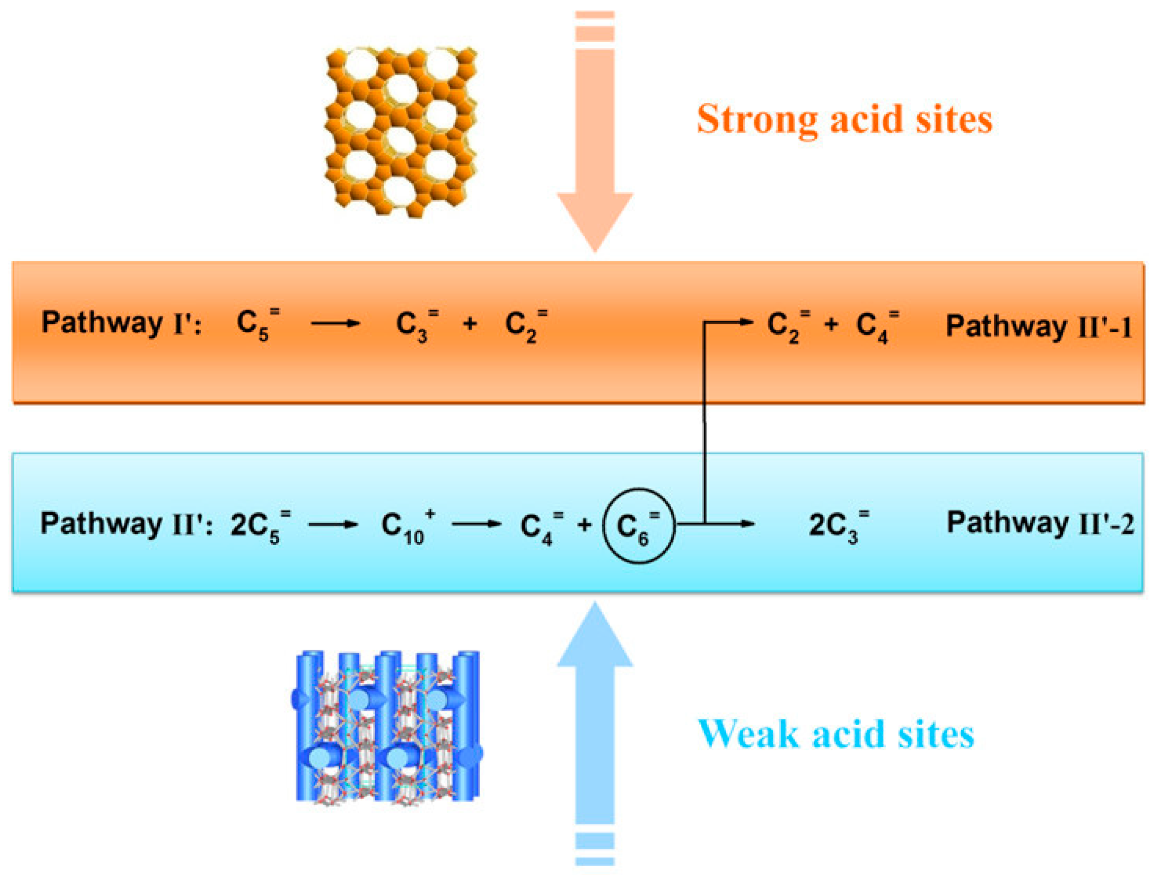 Catalysts 15 00401 g024 Catalysts 15 00401 g024