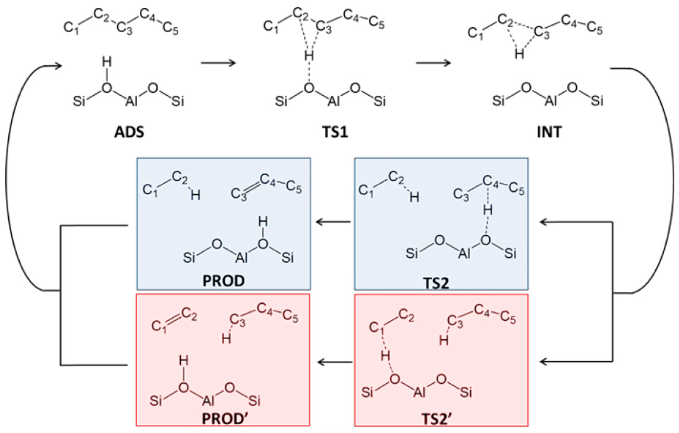Catalysts 15 00401 g025 Catalysts 15 00401 g025