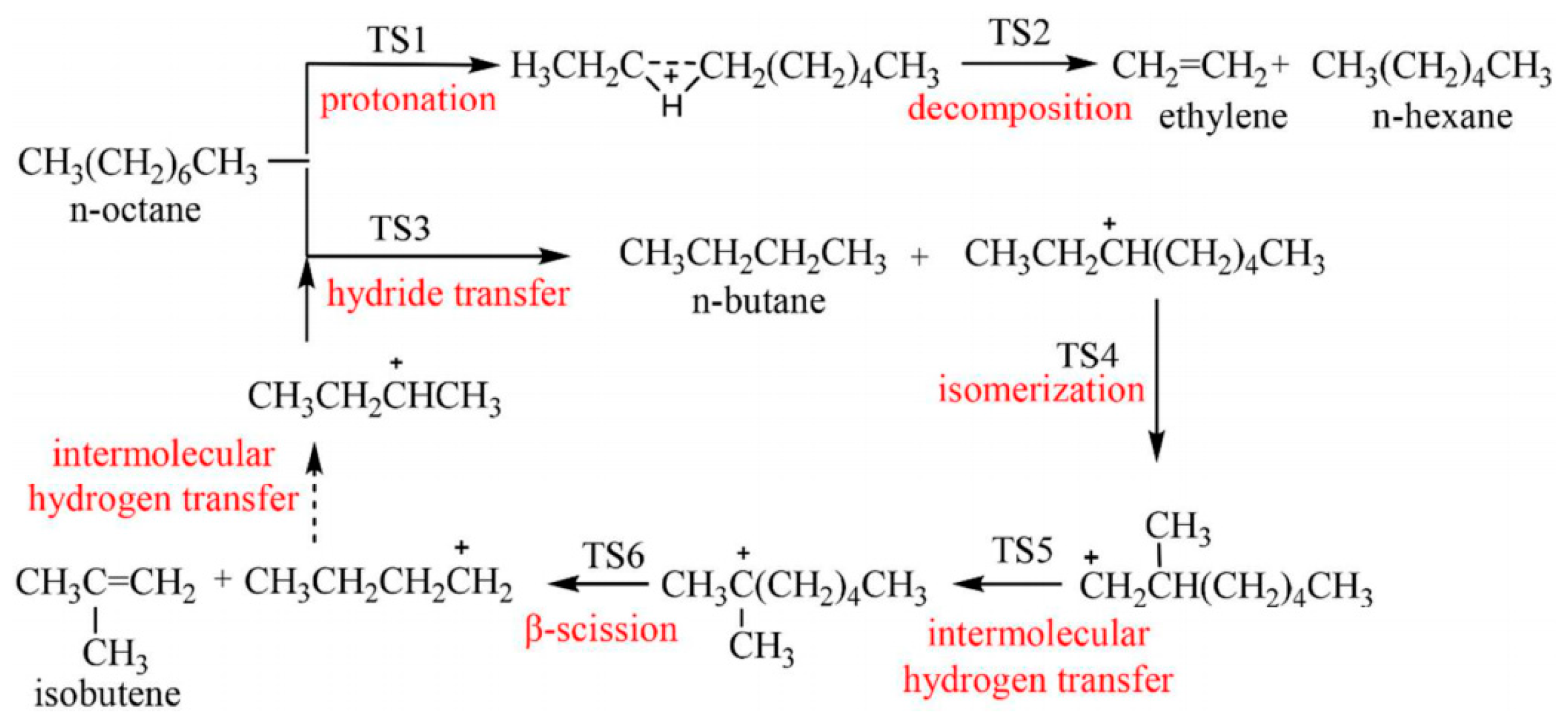 Catalysts 15 00401 g028 Catalysts 15 00401 g028
