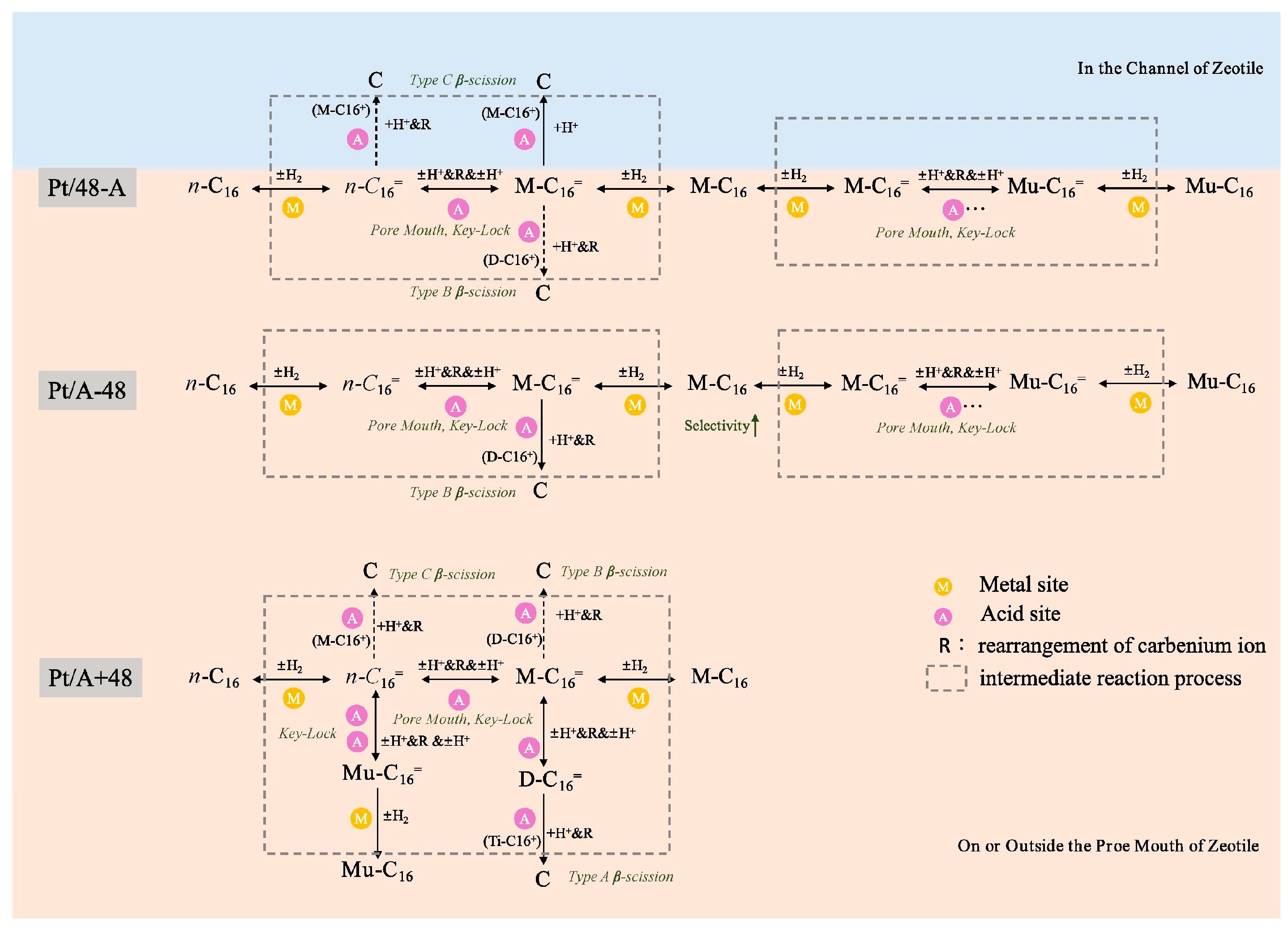 Catalysts 15 00401 g030 Catalysts 15 00401 g030