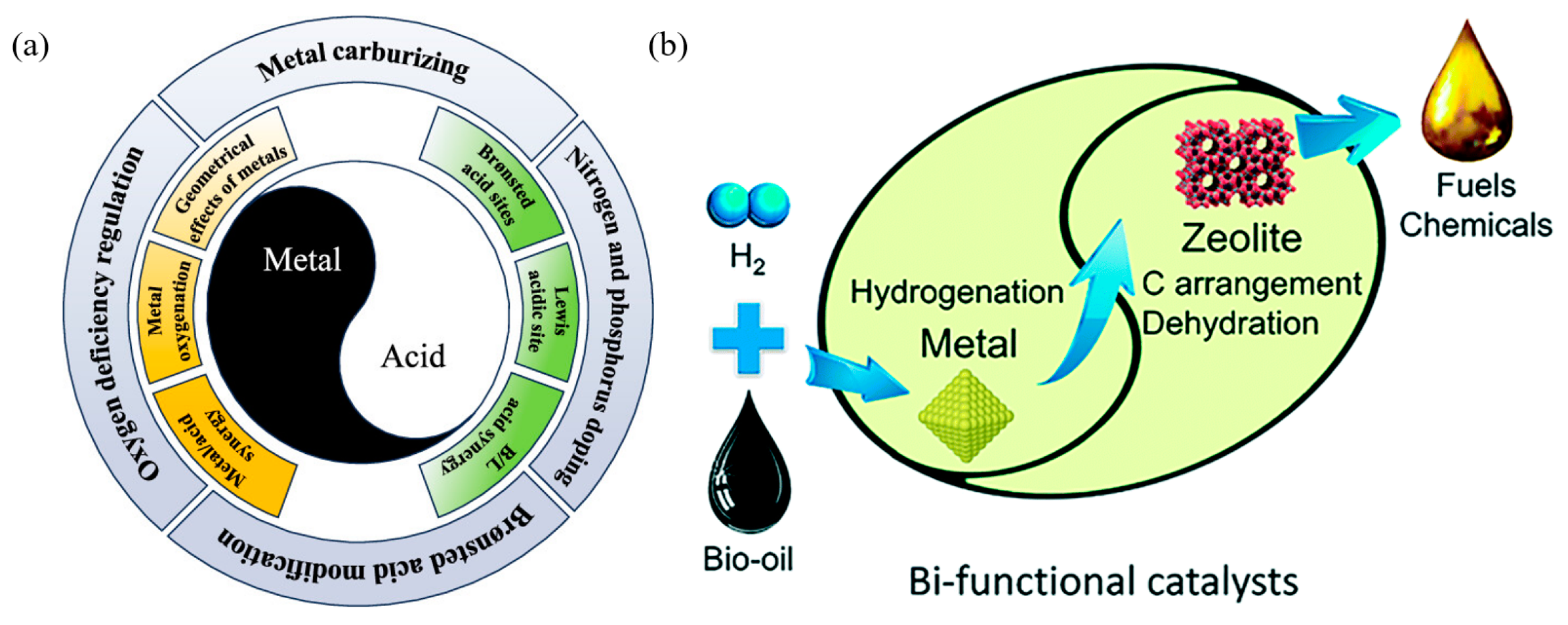 Catalysts 15 00401 g037 Catalysts 15 00401 g037