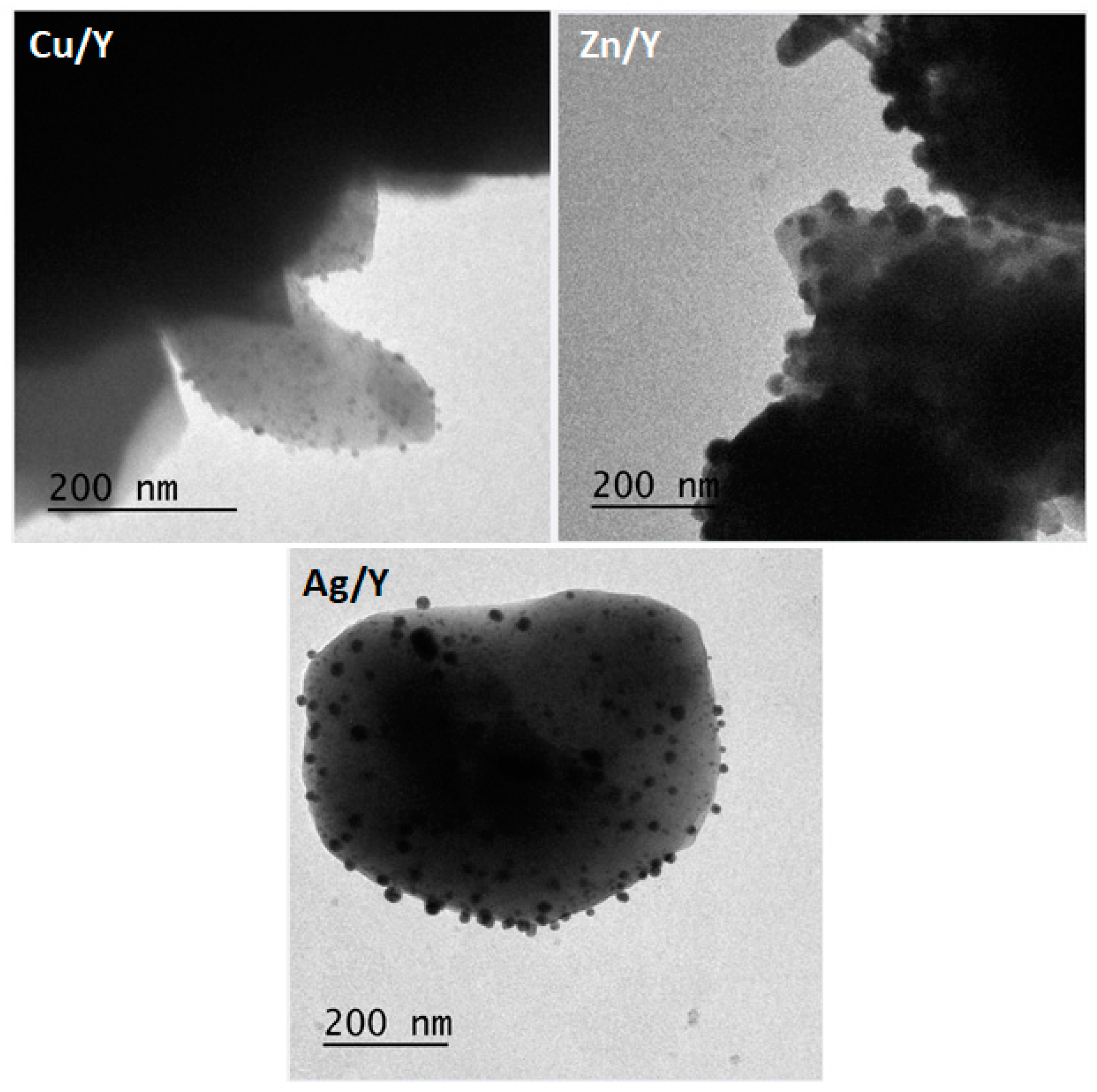 Catalysts 15 00407 g003