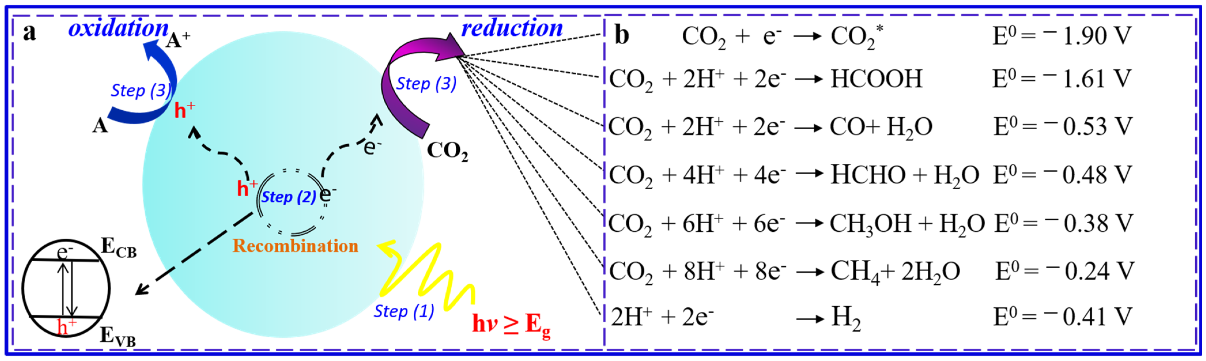 Catalysts 15 00408 g001