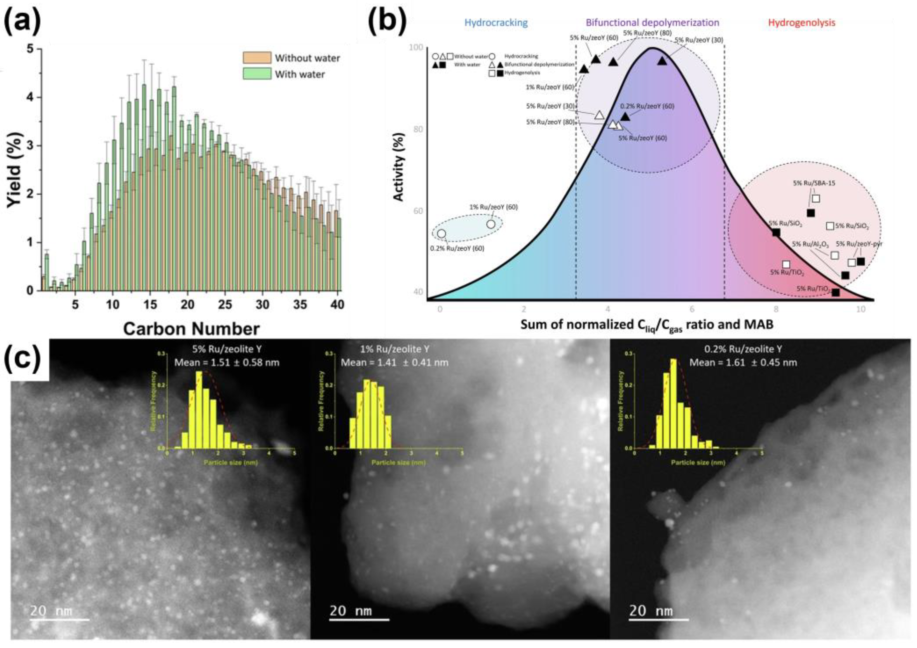 Catalysts 15 00414 g009