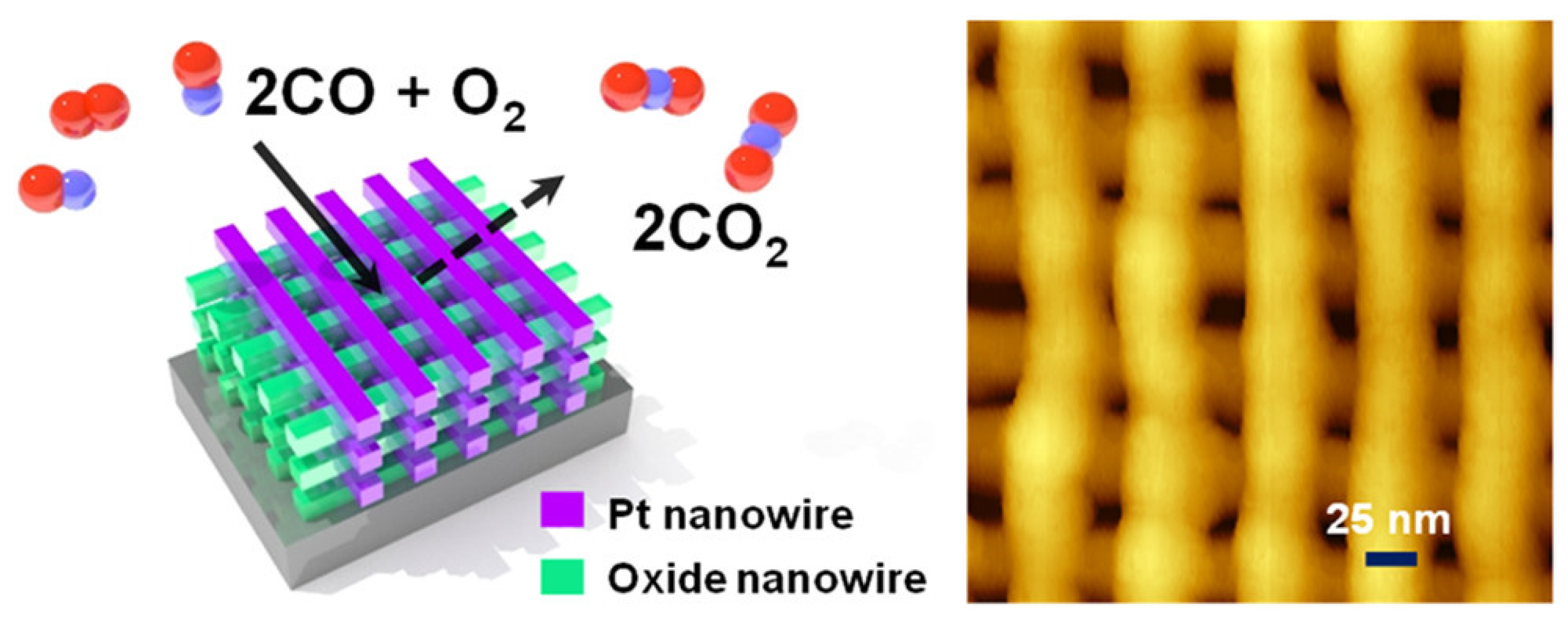 Catalysts 15 00415 g002 Catalysts 15 00415 g002