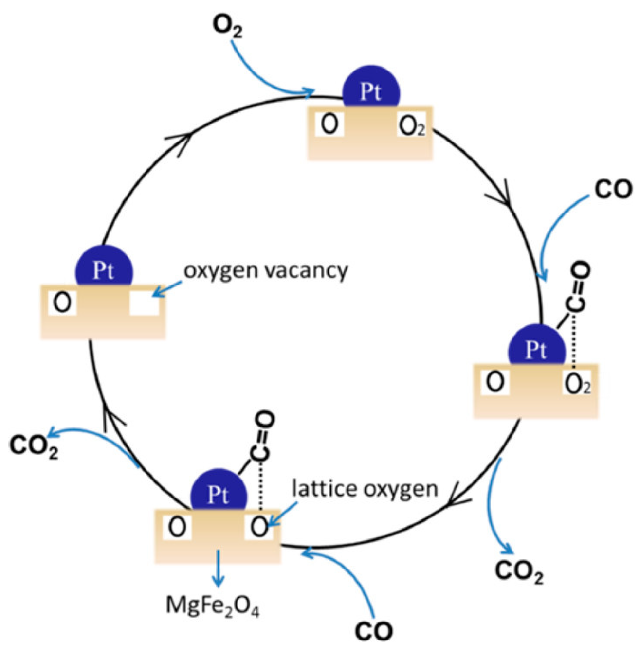 Catalysts 15 00415 g003 Catalysts 15 00415 g003