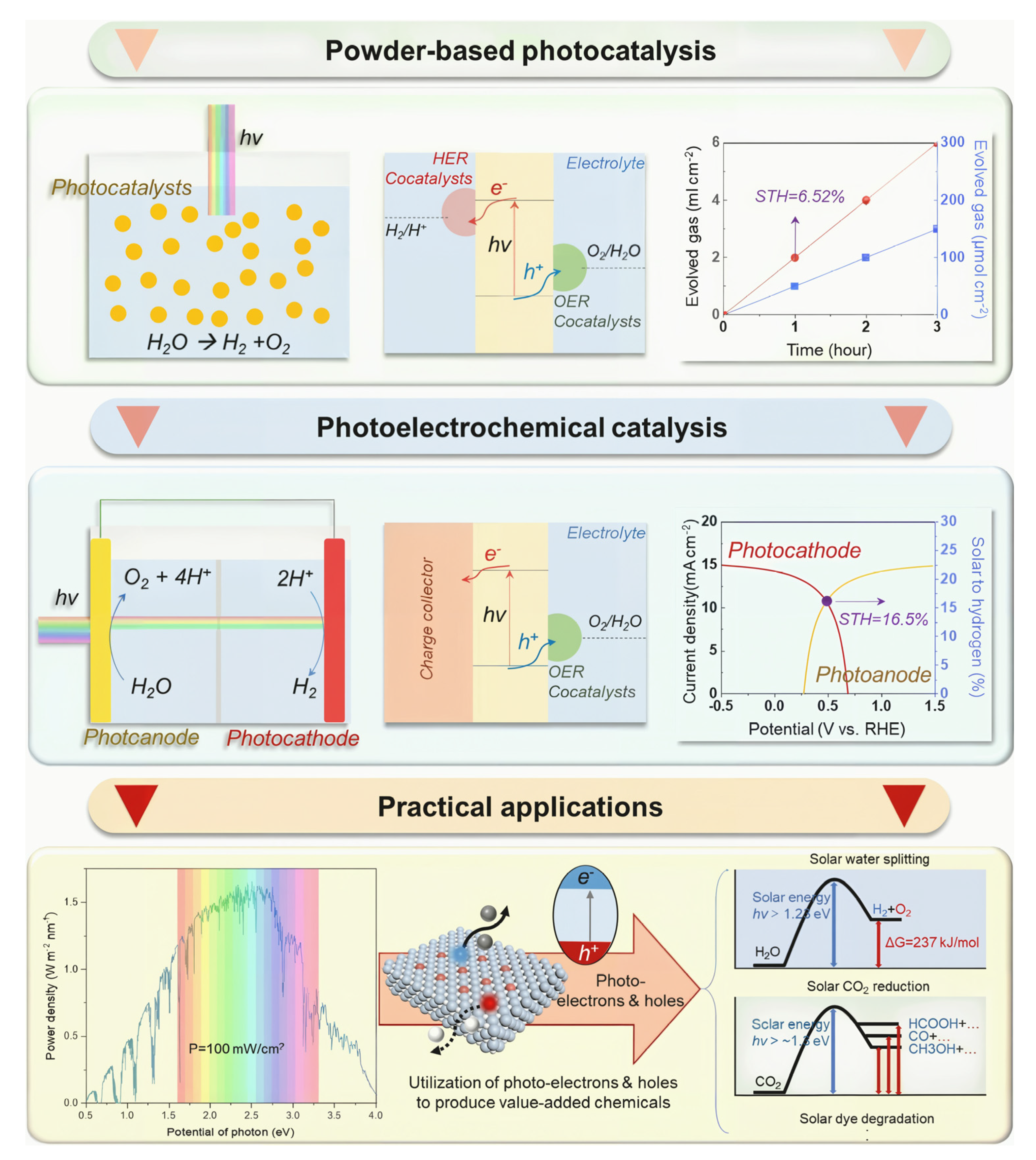 Catalysts 15 00421 g004