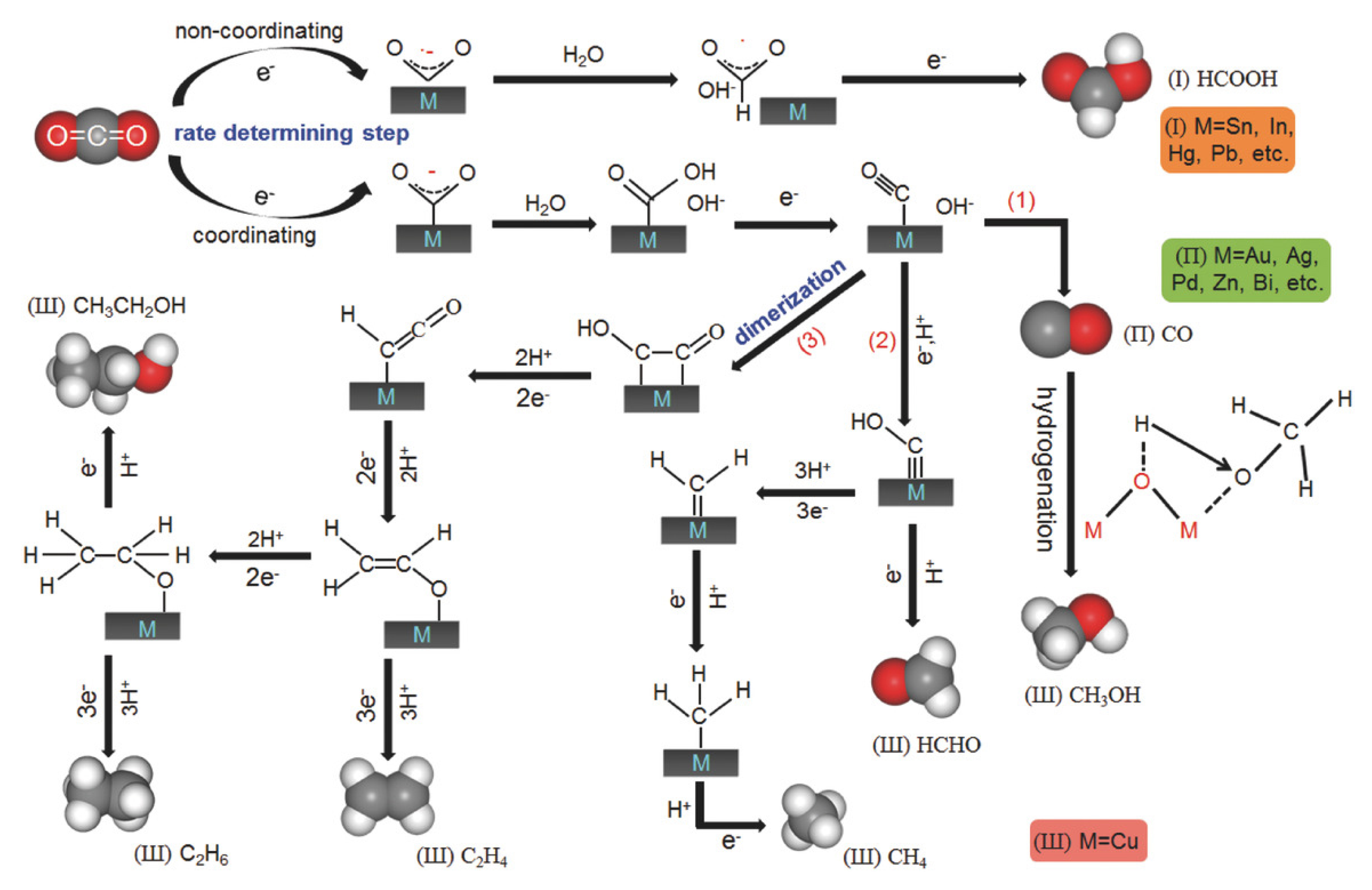 Catalysts 15 00421 g005