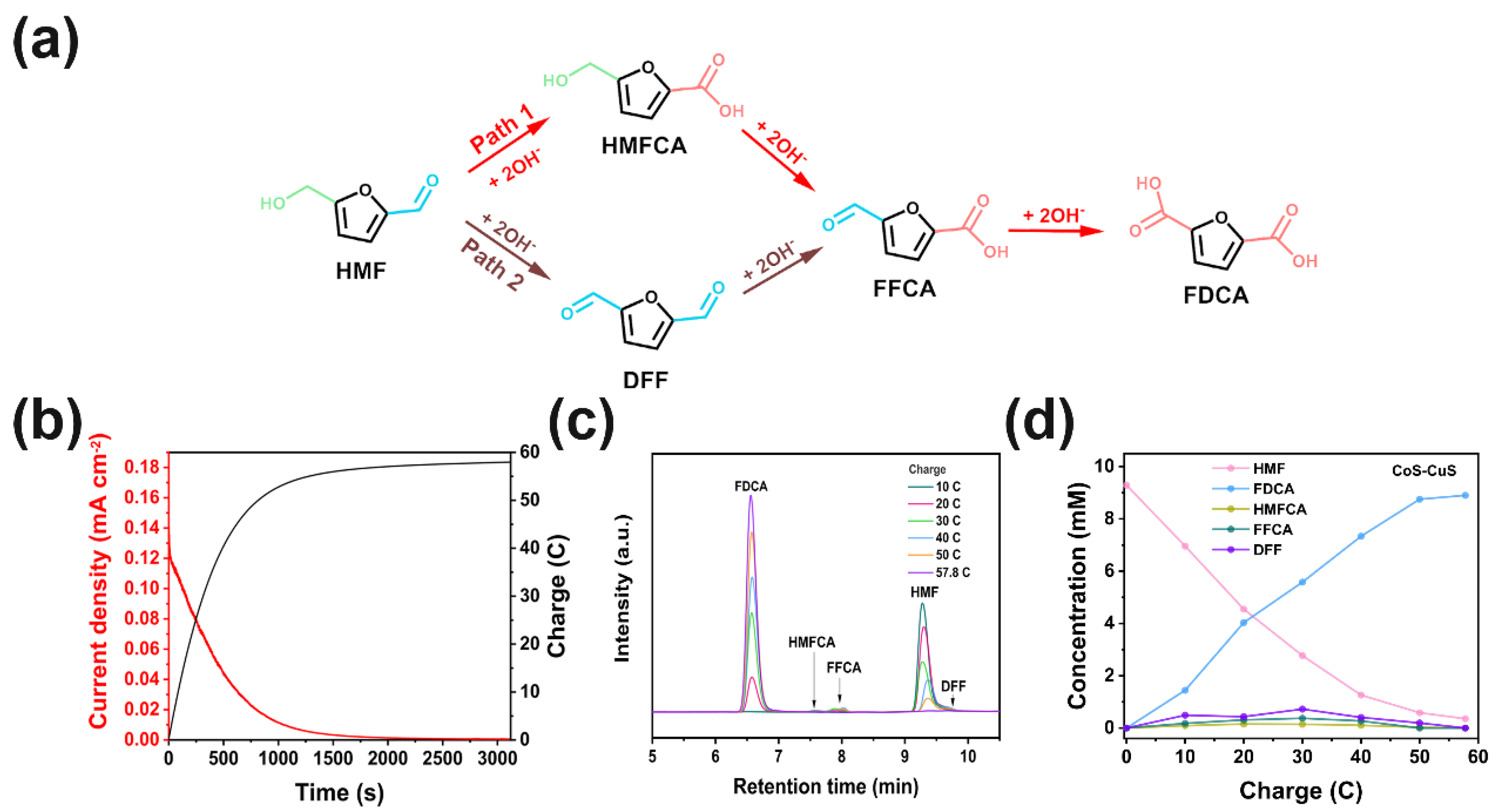 Catalysts 15 00422 g004
