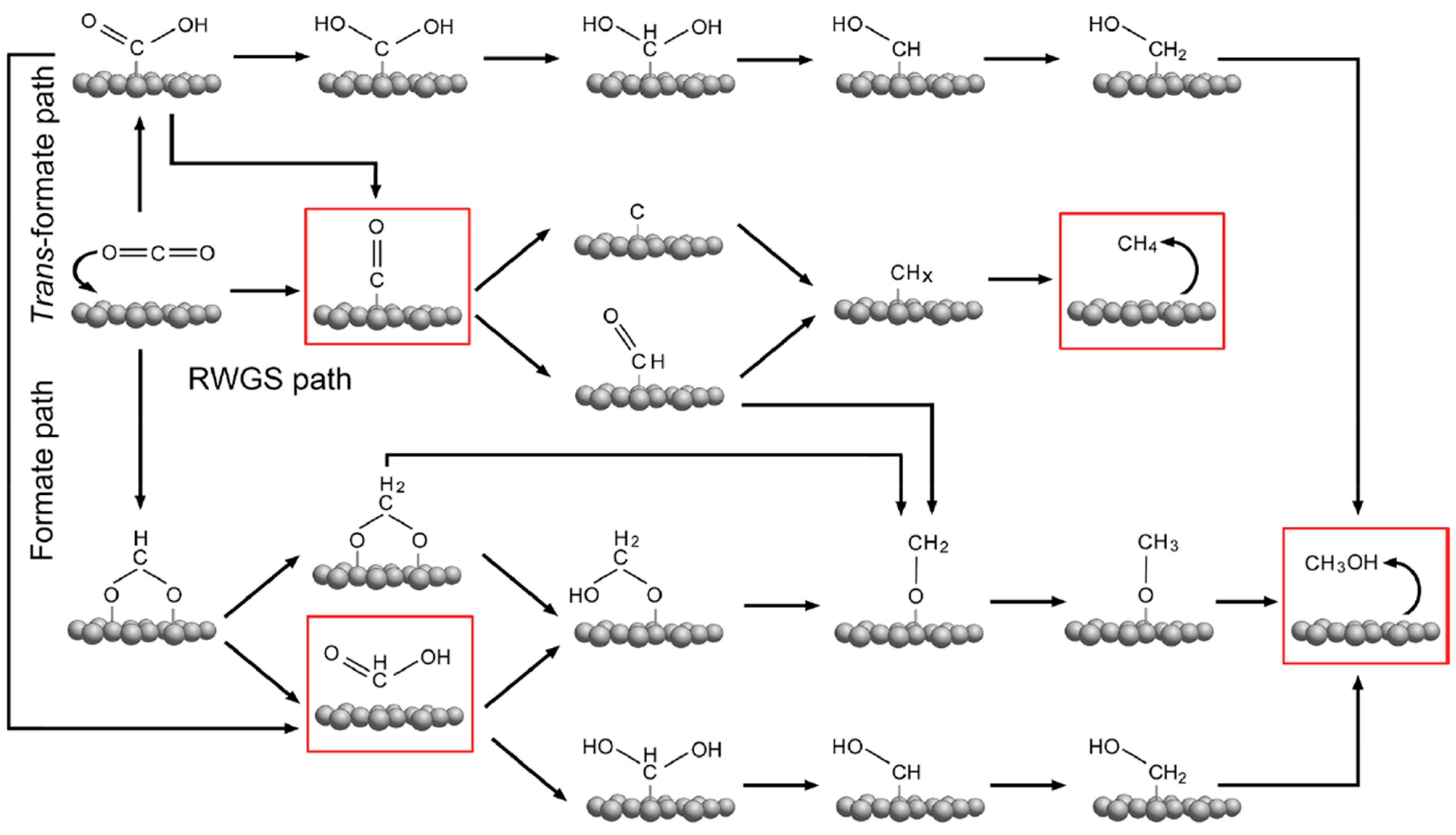 Catalysts 15 00424 g002