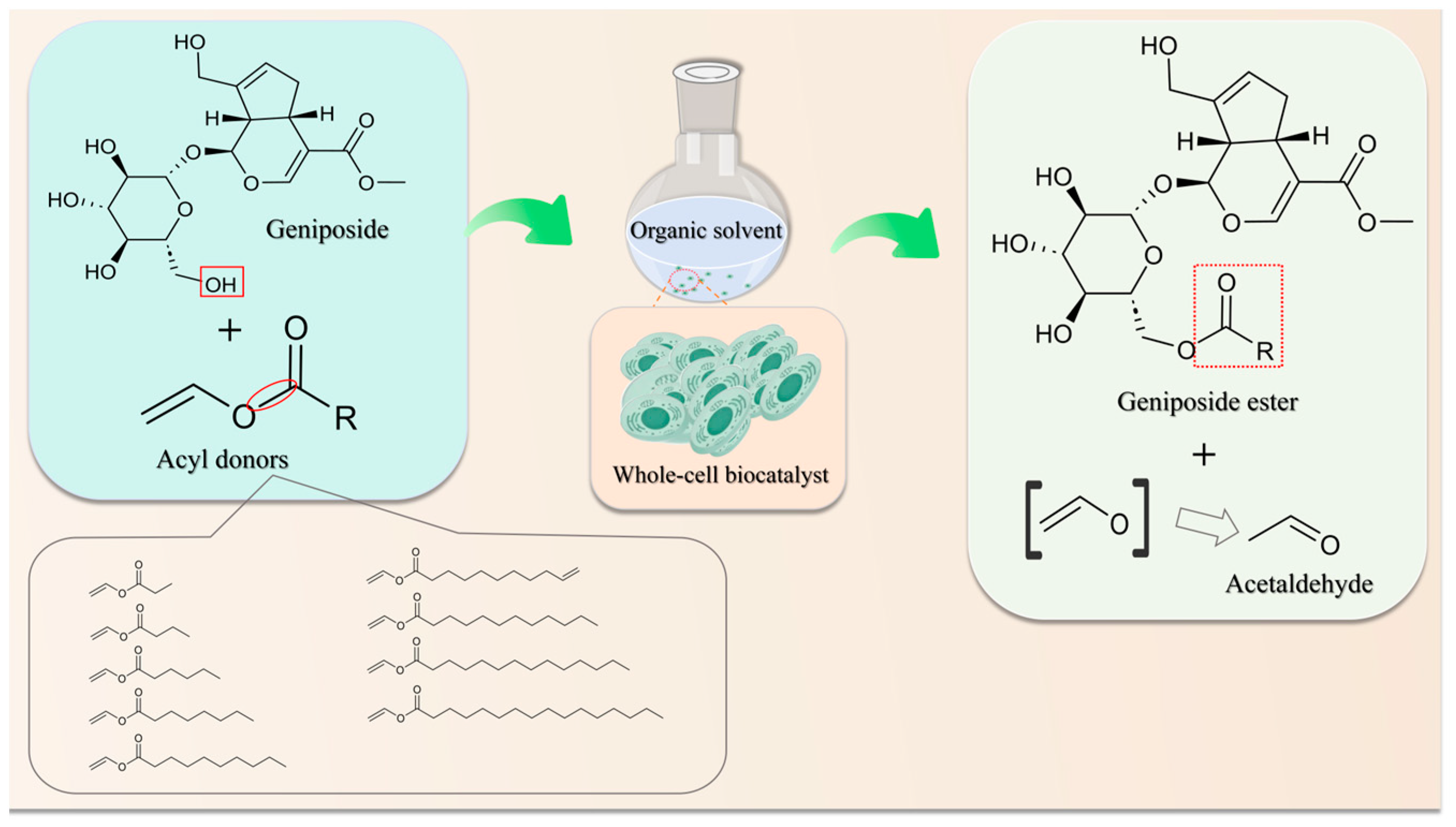 Catalysts 15 00428 g001
