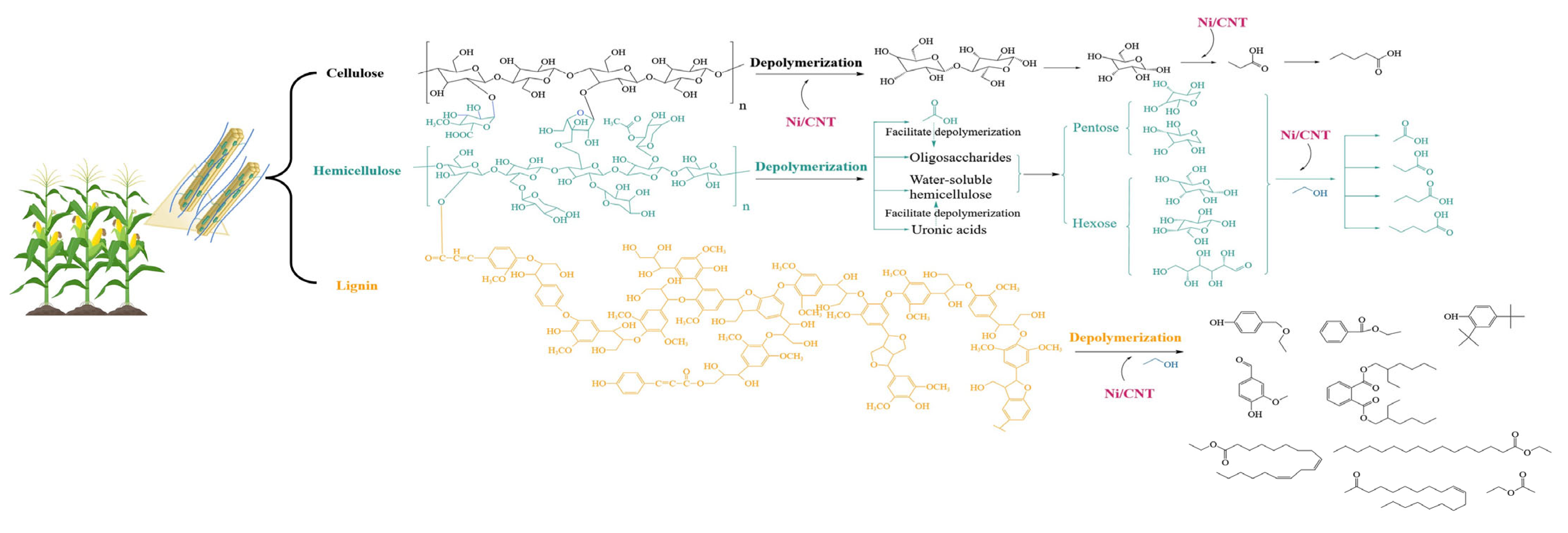 Catalysts 15 00429 g005