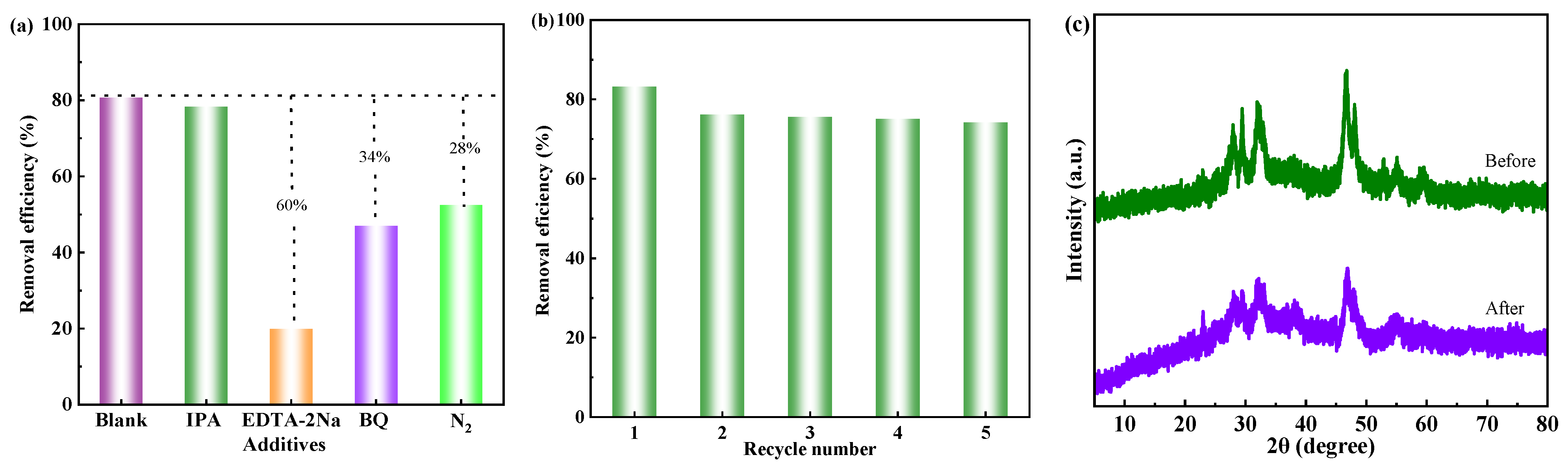 Catalysts 15 00458 g007