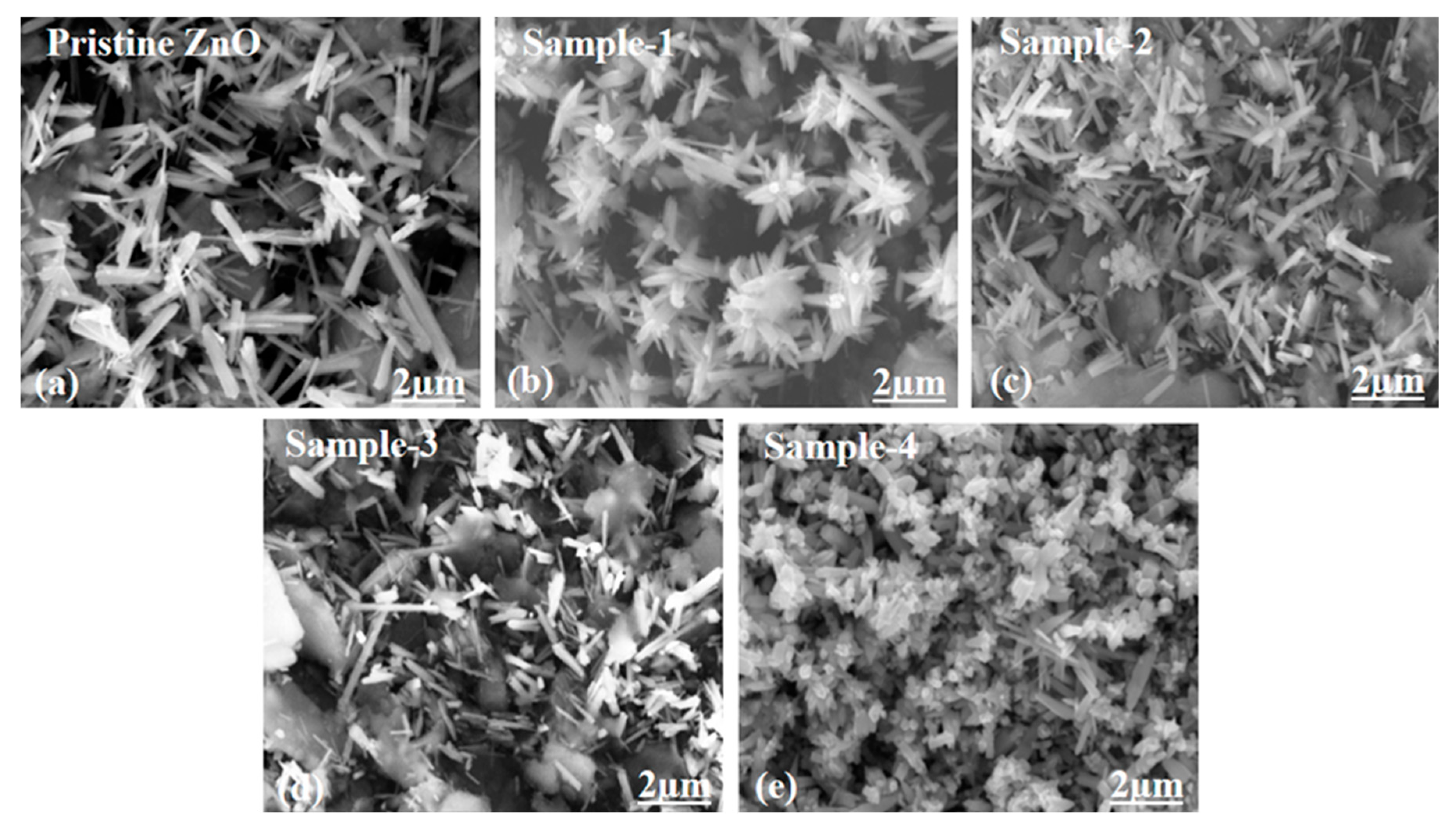 Catalysts 15 00566 g002