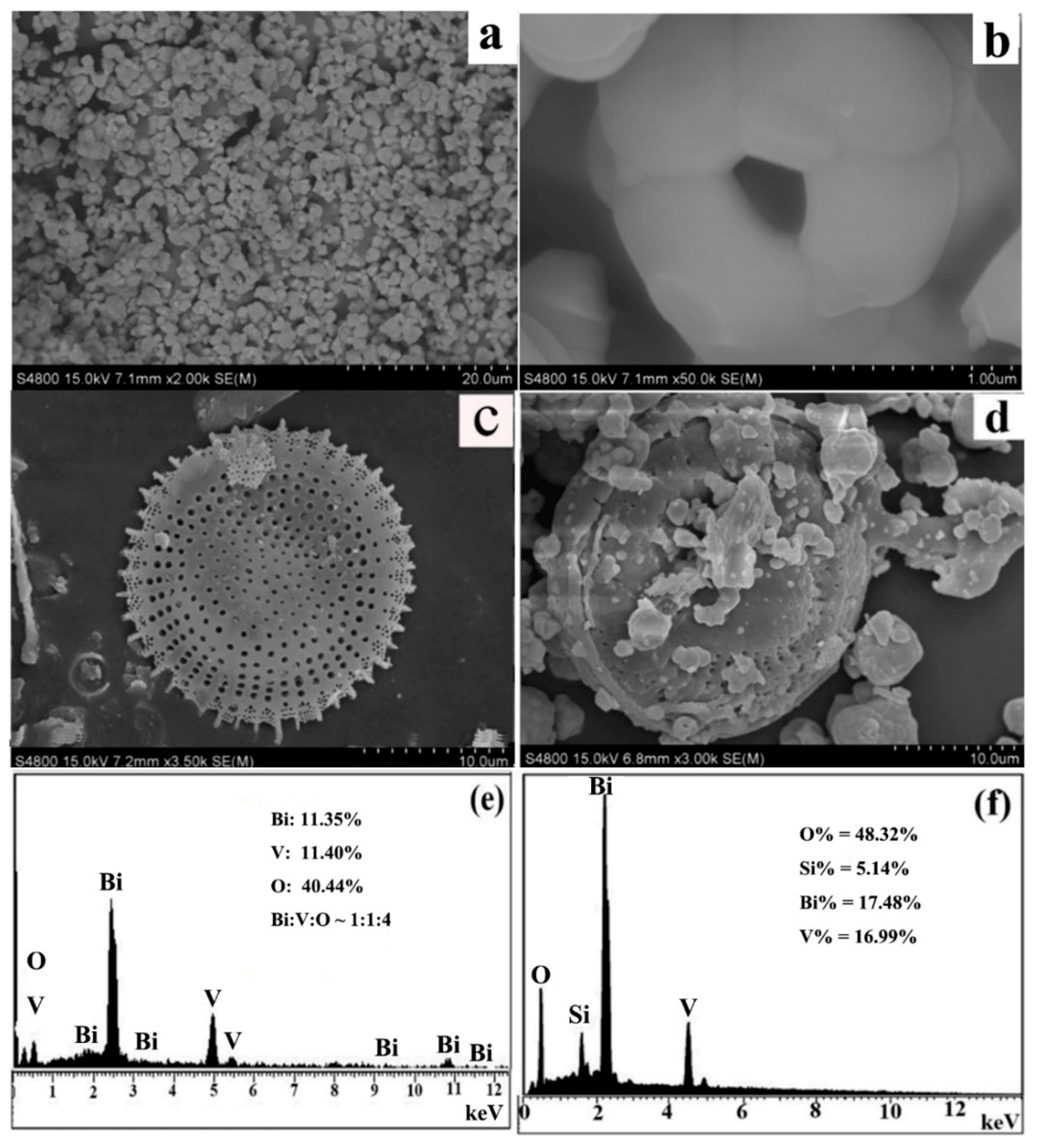 Catalysts 15 00672 g002
