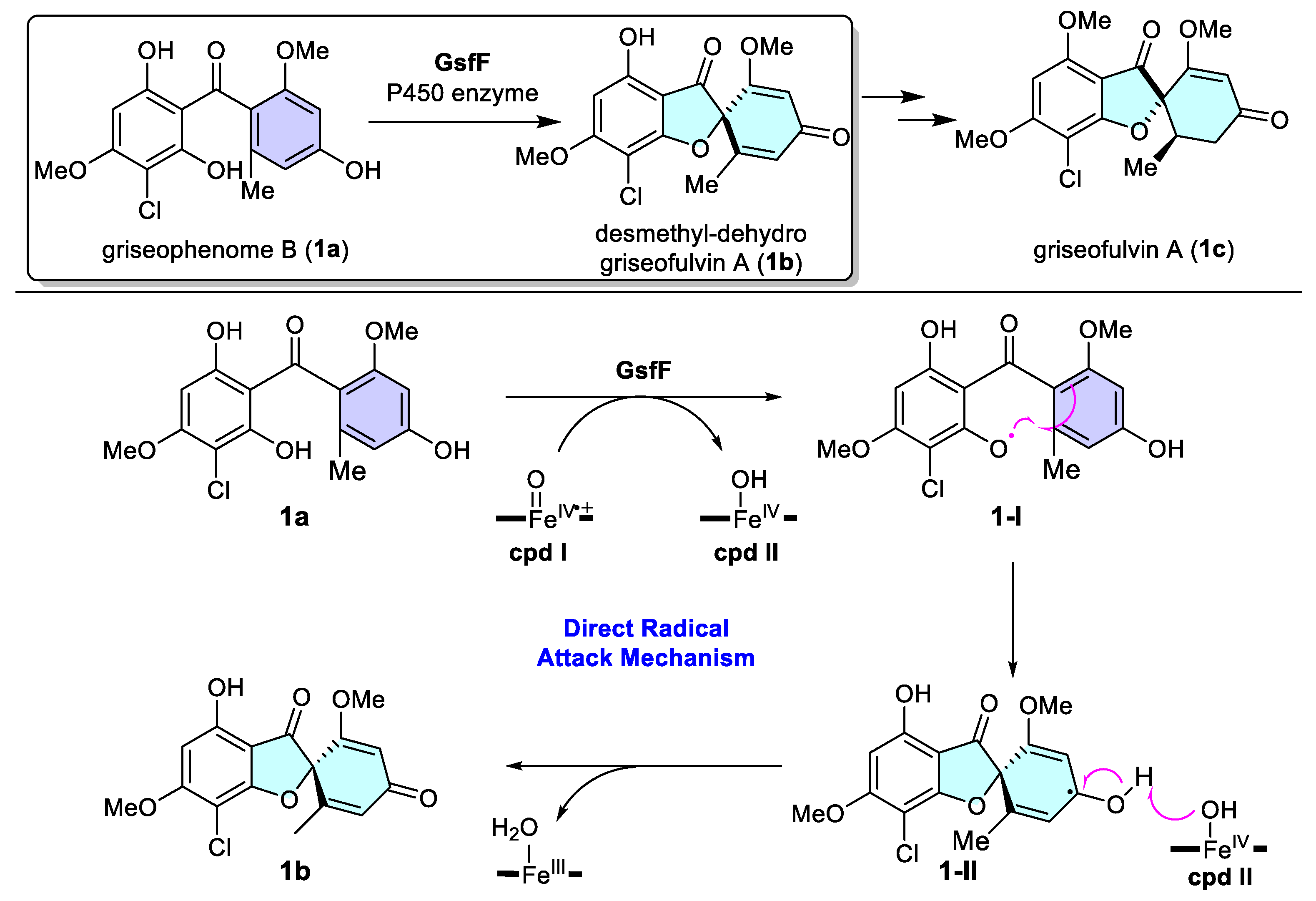 Catalysts 15 00673 sch001