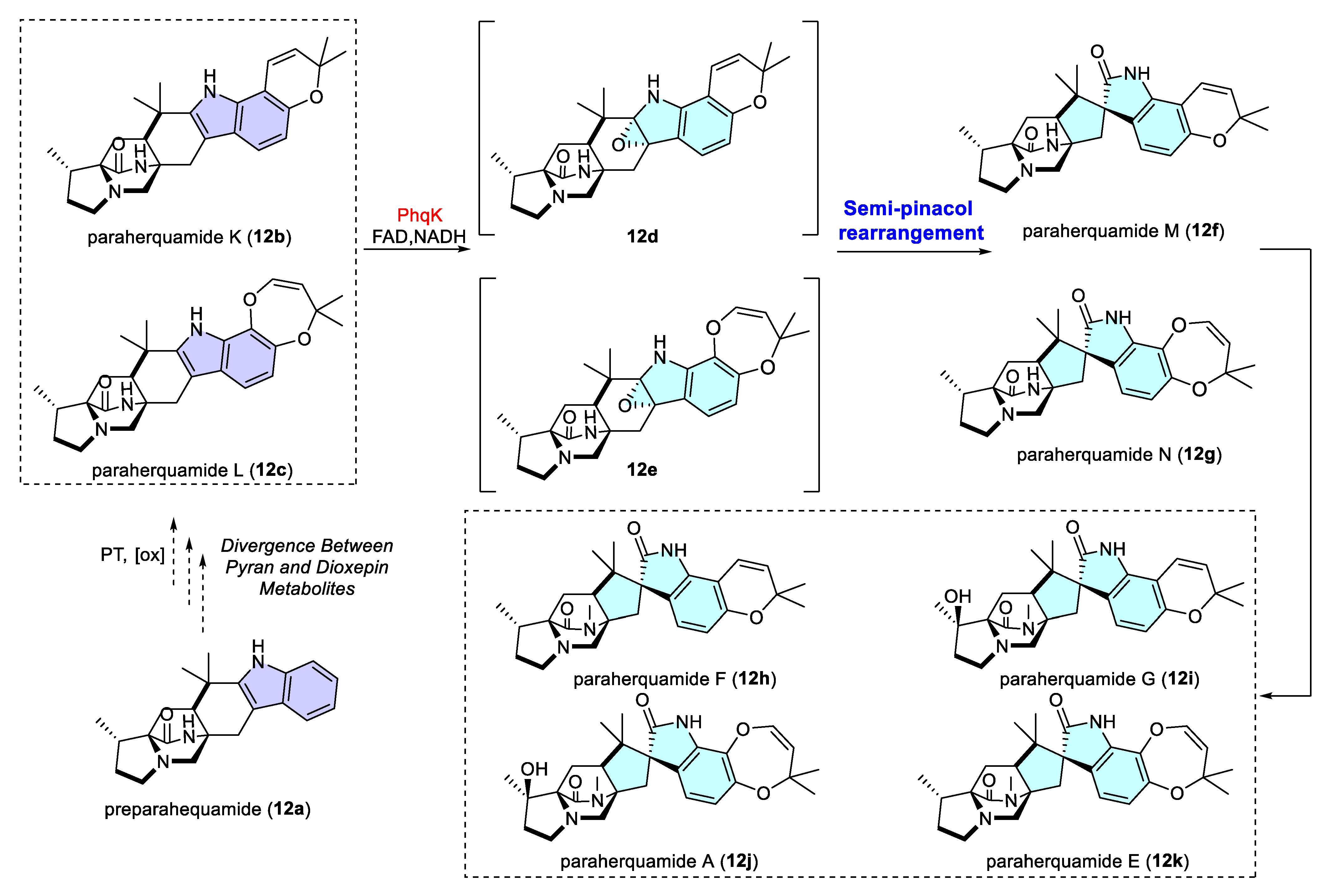 Catalysts 15 00673 sch012