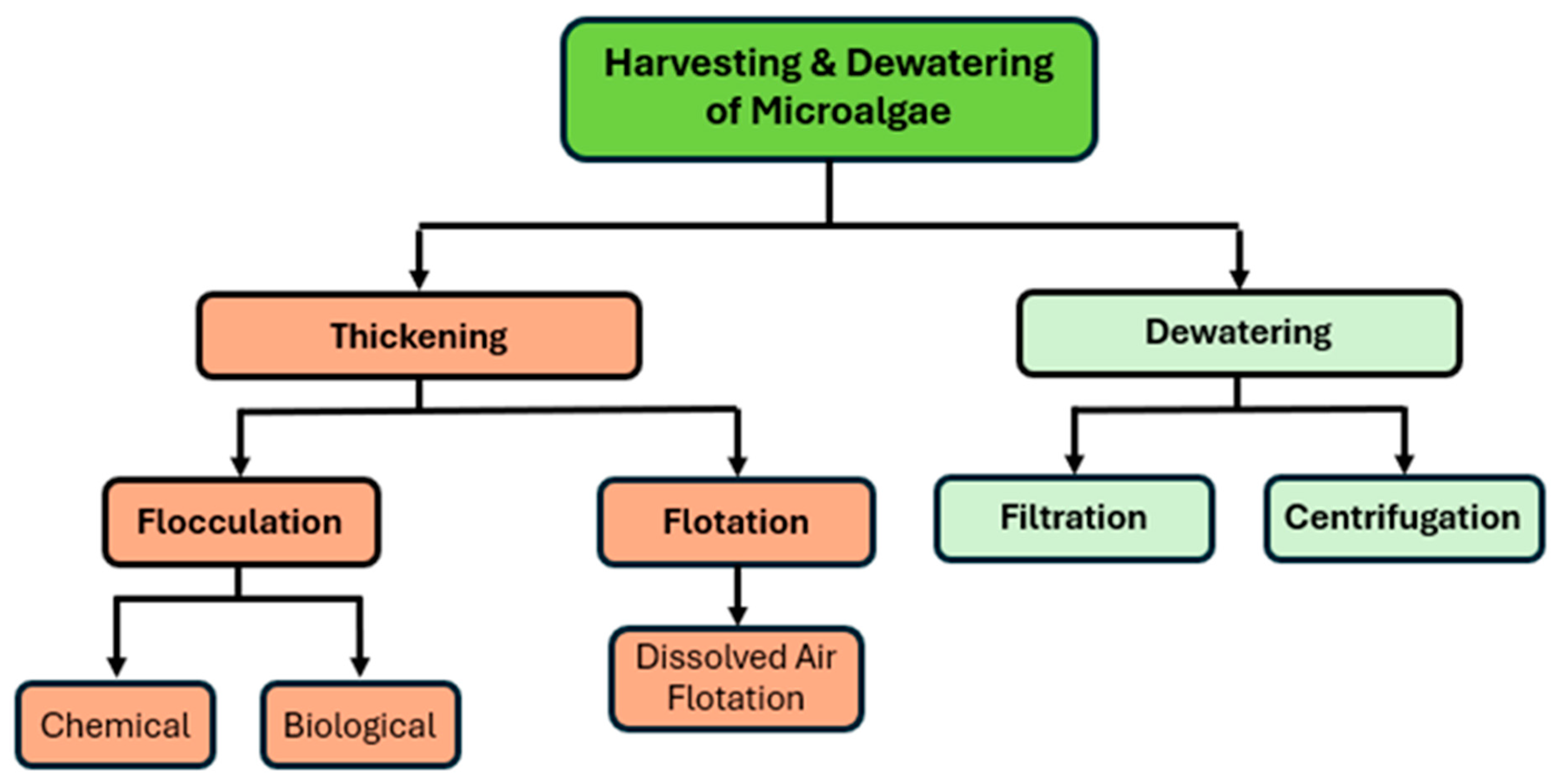 Catalysts 15 00806 g001 Catalysts 15 00806 g001