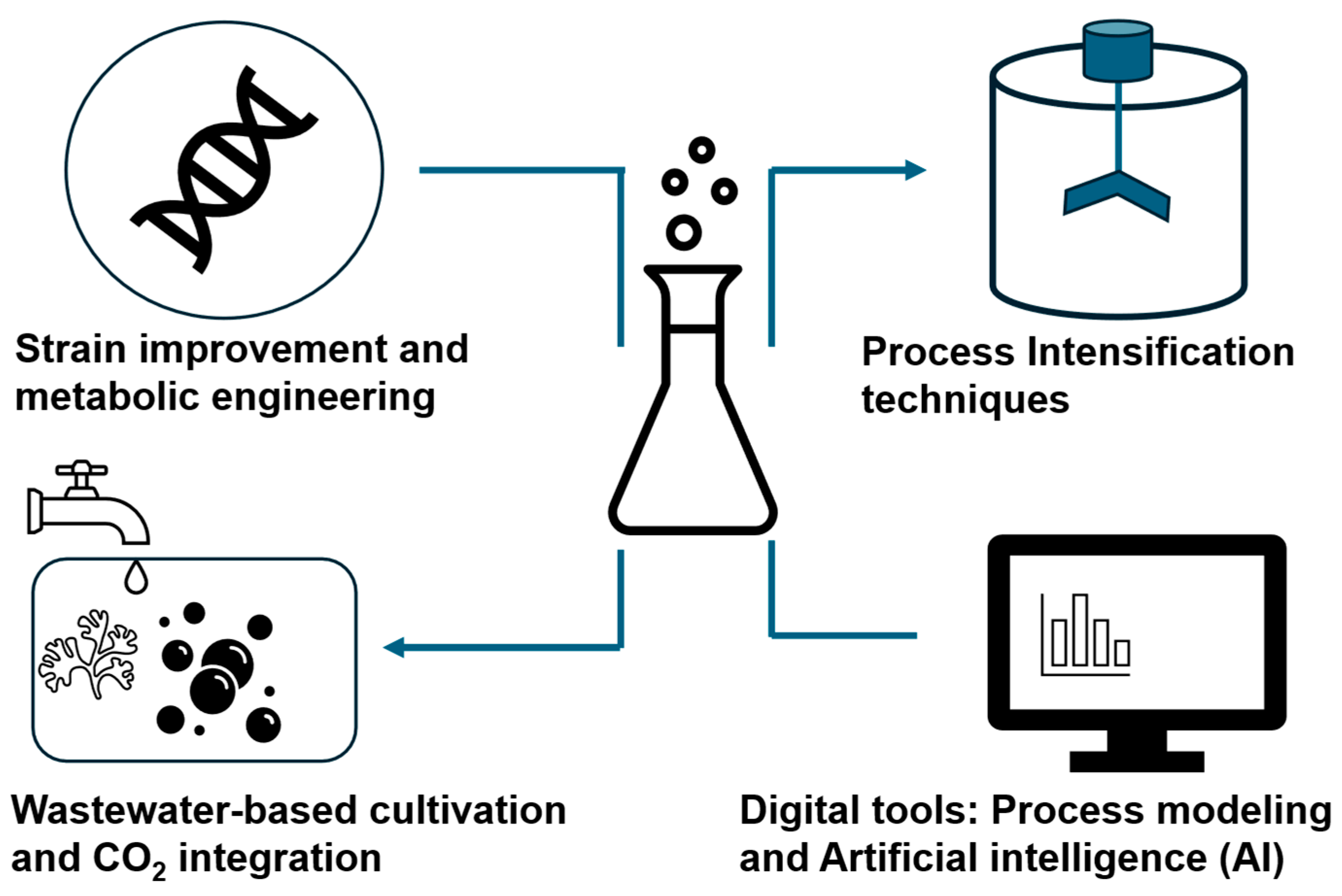 Catalysts 15 00806 g005 Catalysts 15 00806 g005