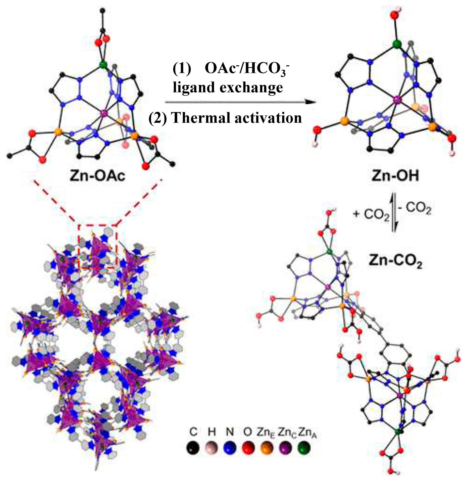 Catalysts 15 00807 g013 Catalysts 15 00807 g013