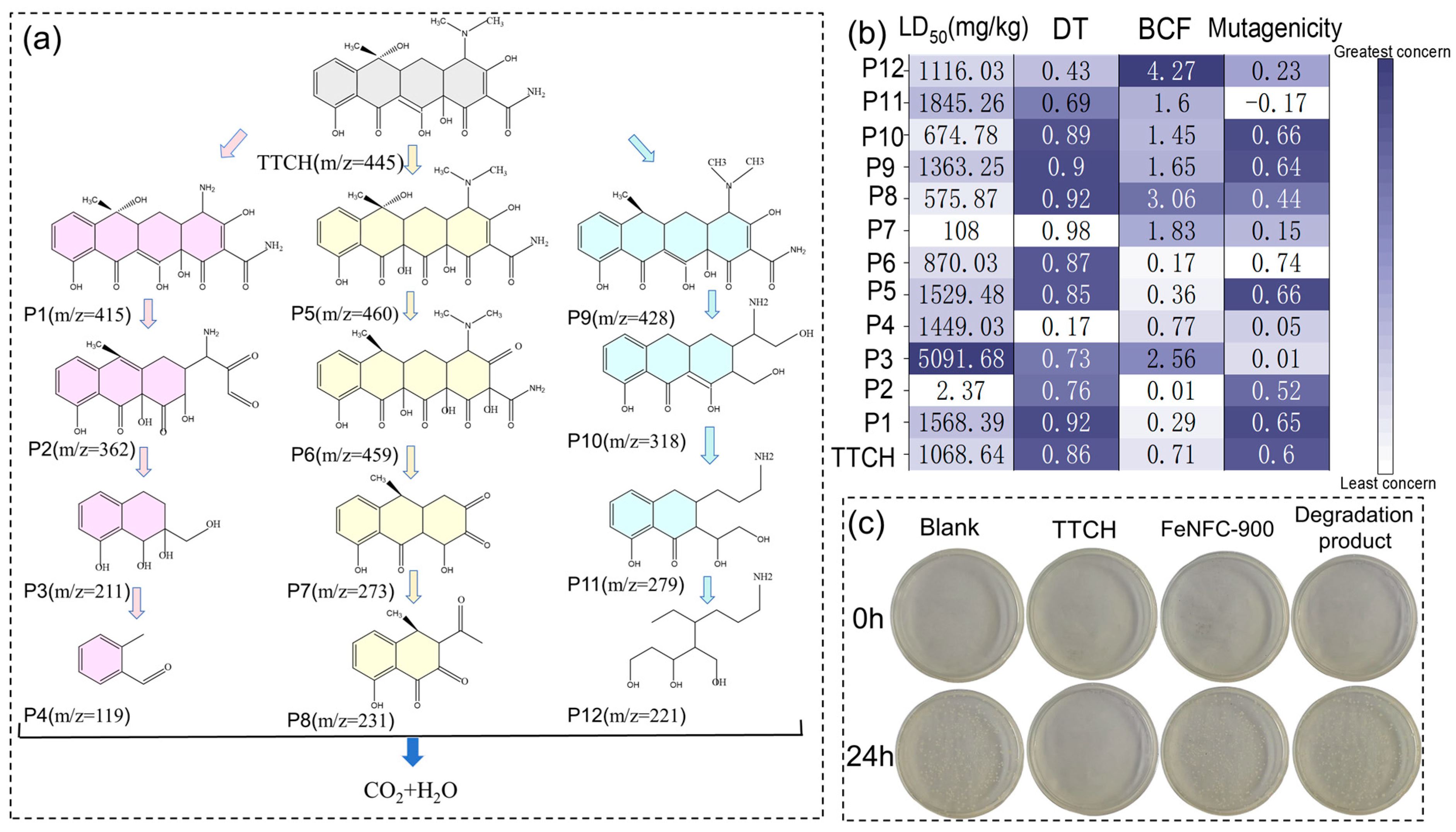 Catalysts 15 00944 g006 Catalysts 15 00944 g006