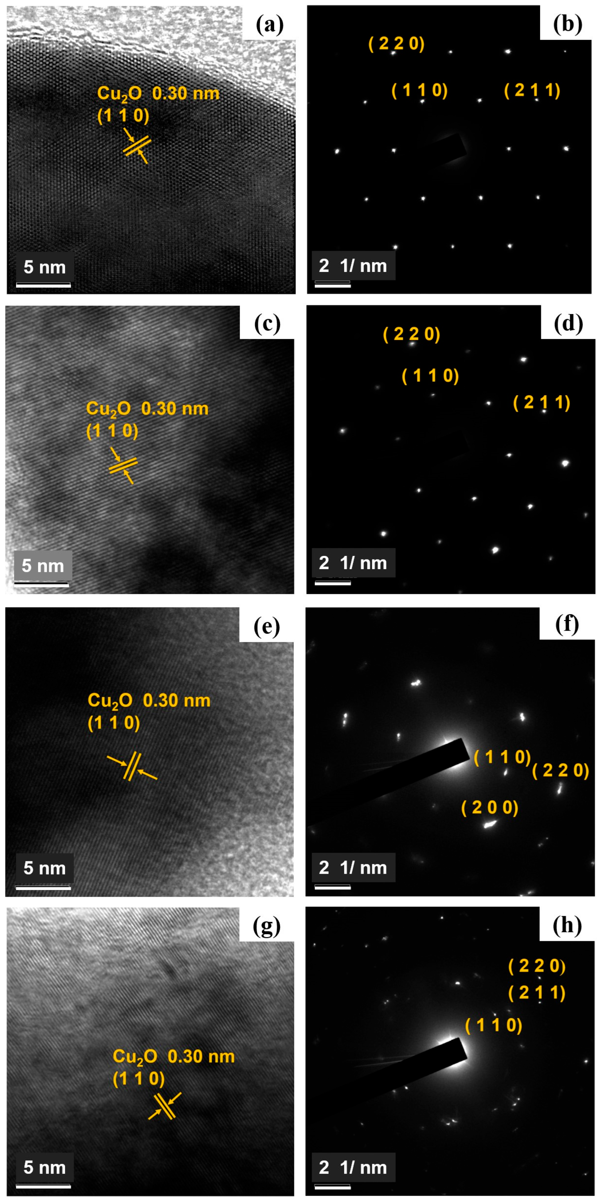 Catalysts 15 01030 g003 Catalysts 15 01030 g003