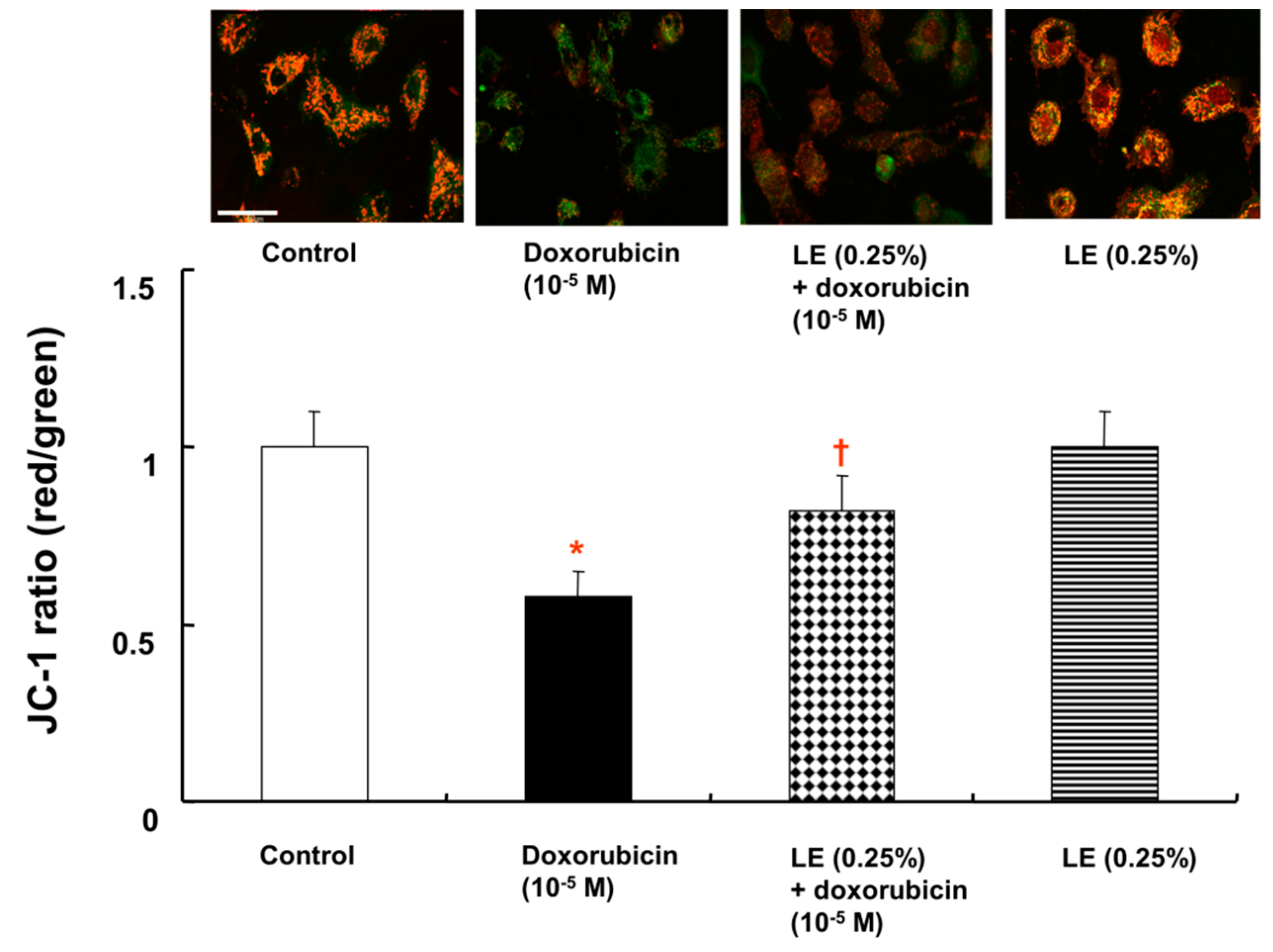 Cells 07 00144 g006 Cells 07 00144 g006