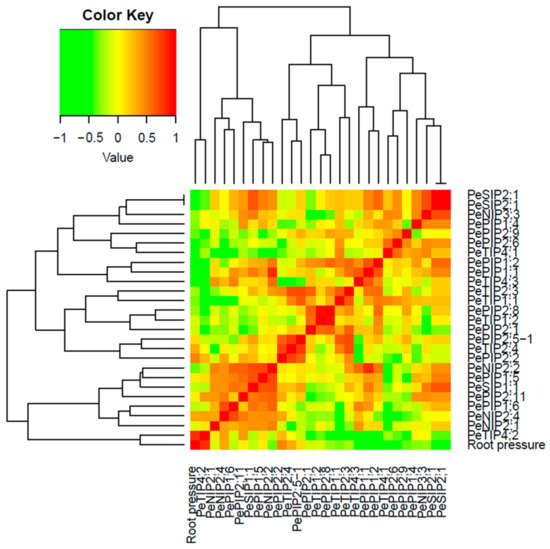 Cells | Free Full-Text | Whole-Genome and Expression Analyses of Bamboo ...