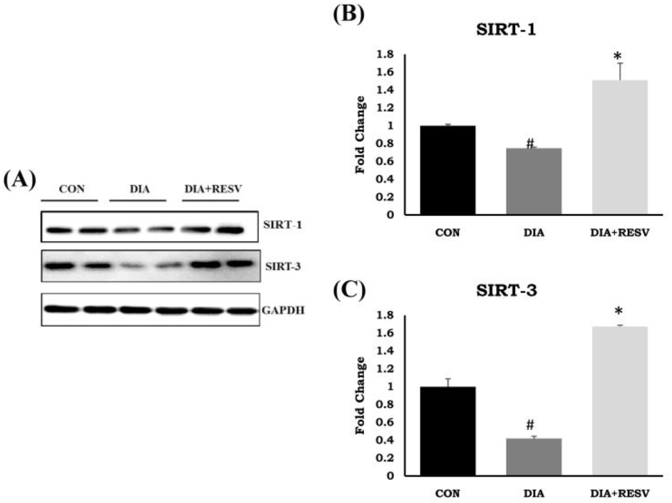 Cells 07 00235 g005 Cells 07 00235 g005