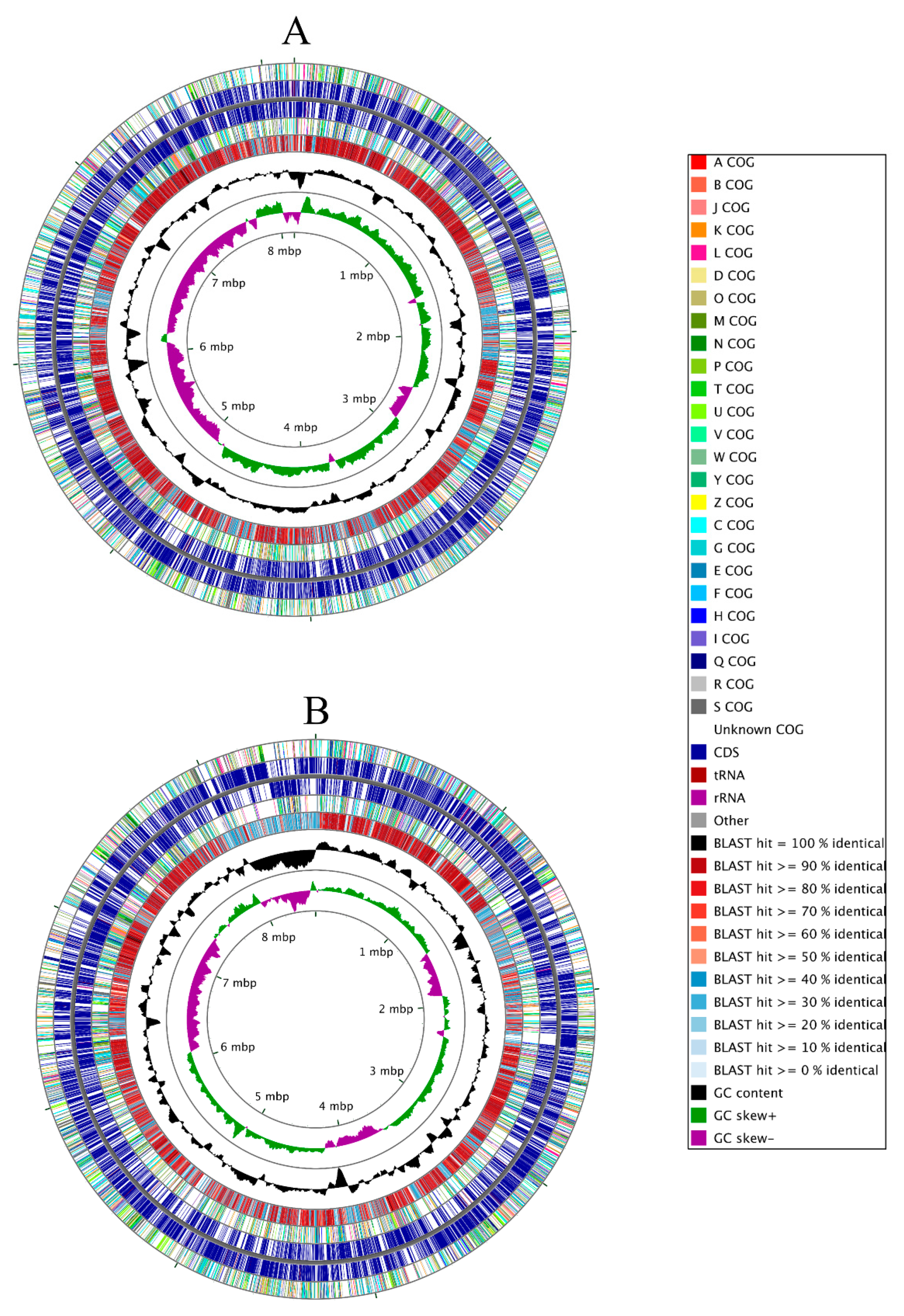 Cells Free Full Text Proteogenomic Analysis Of Burkholderia Species Strains 25 And 46 Isolated From Uraniferous Soils Reveals Multiple Mechanisms To Cope With Uranium Stress Html
