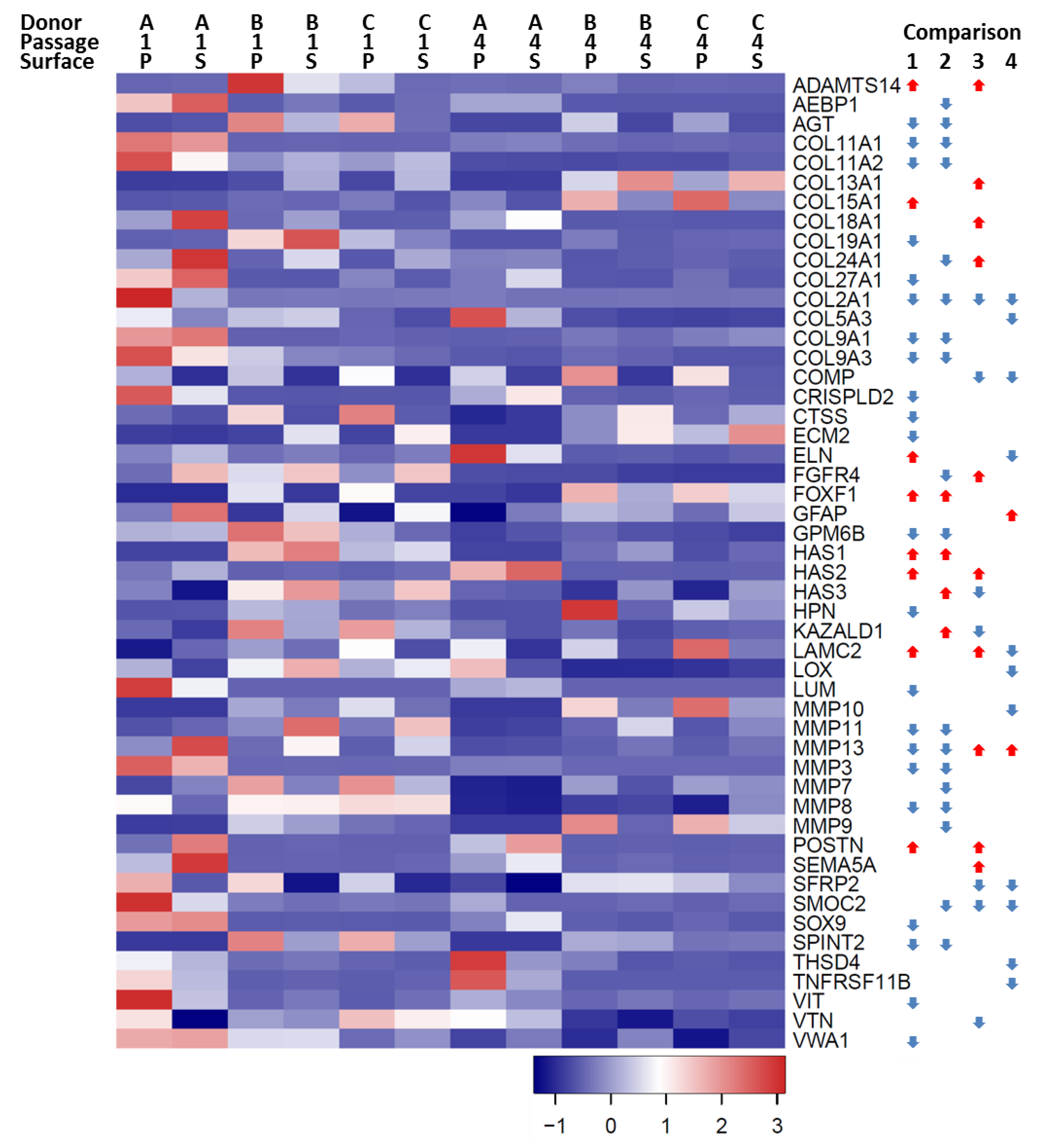 Cells 08 00085 g005 Cells 08 00085 g005