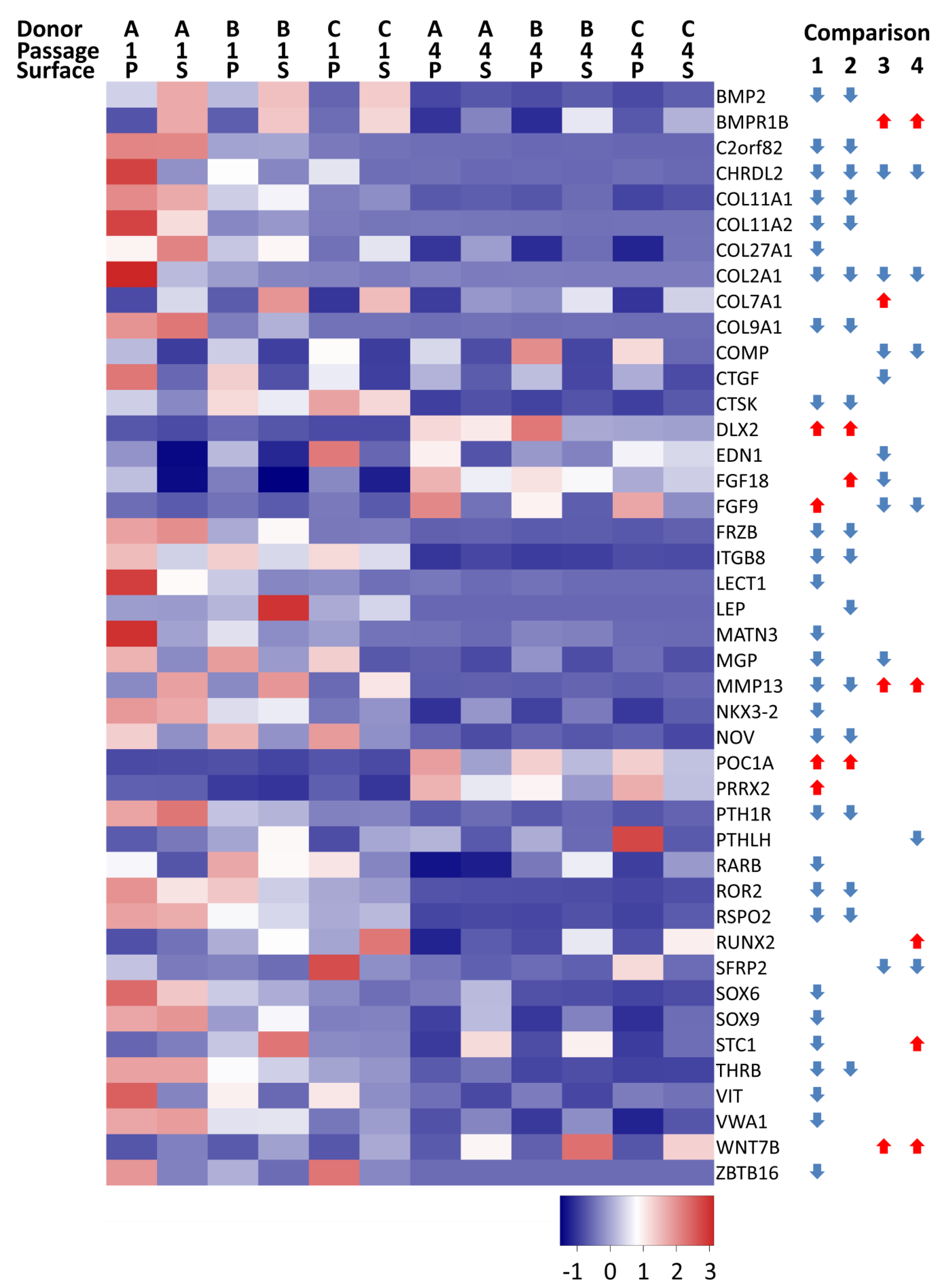 Cells 08 00085 g006 Cells 08 00085 g006