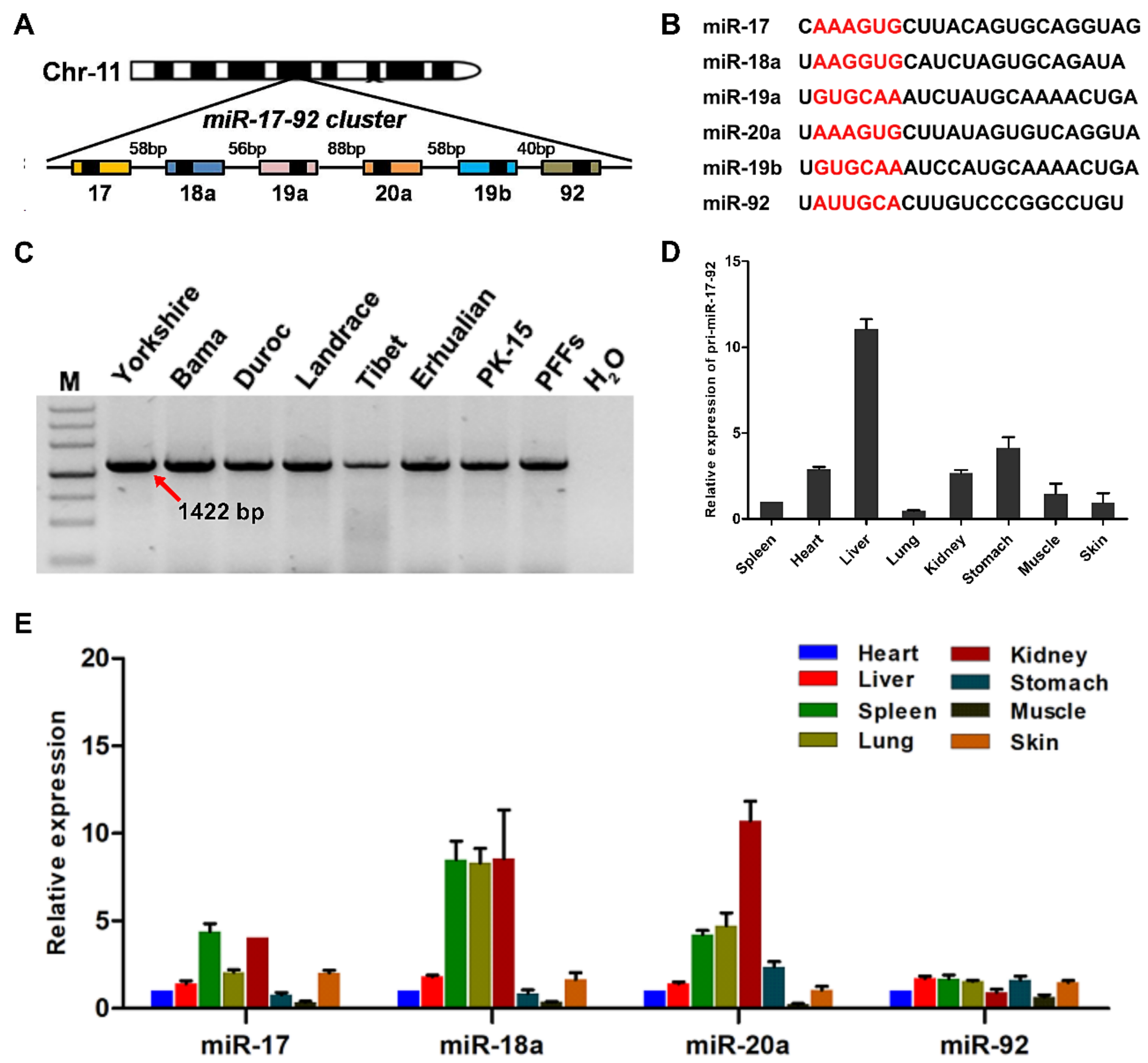 Cells 08 00113 g001 Cells 08 00113 g001