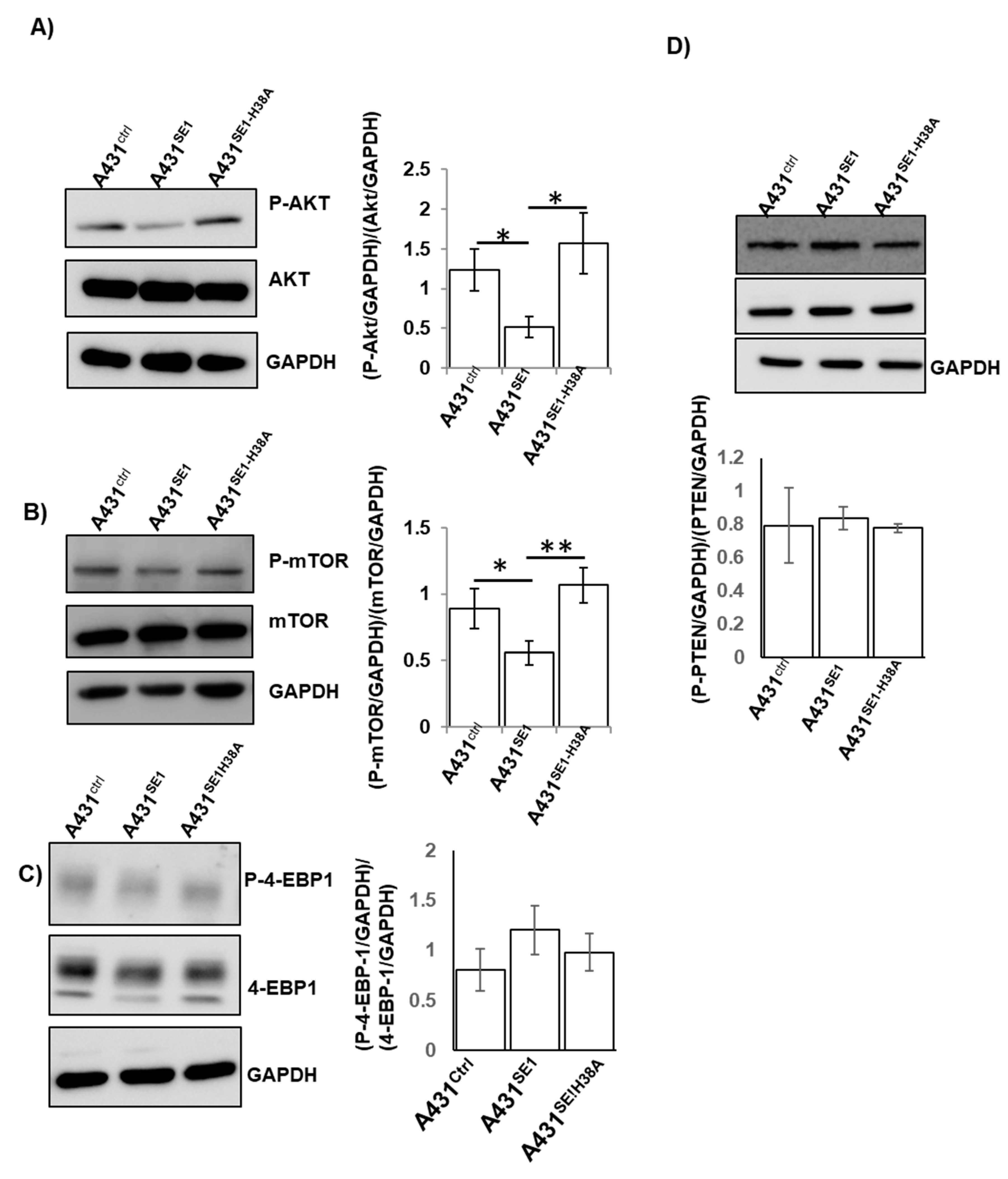 Cells 08 00117 g004