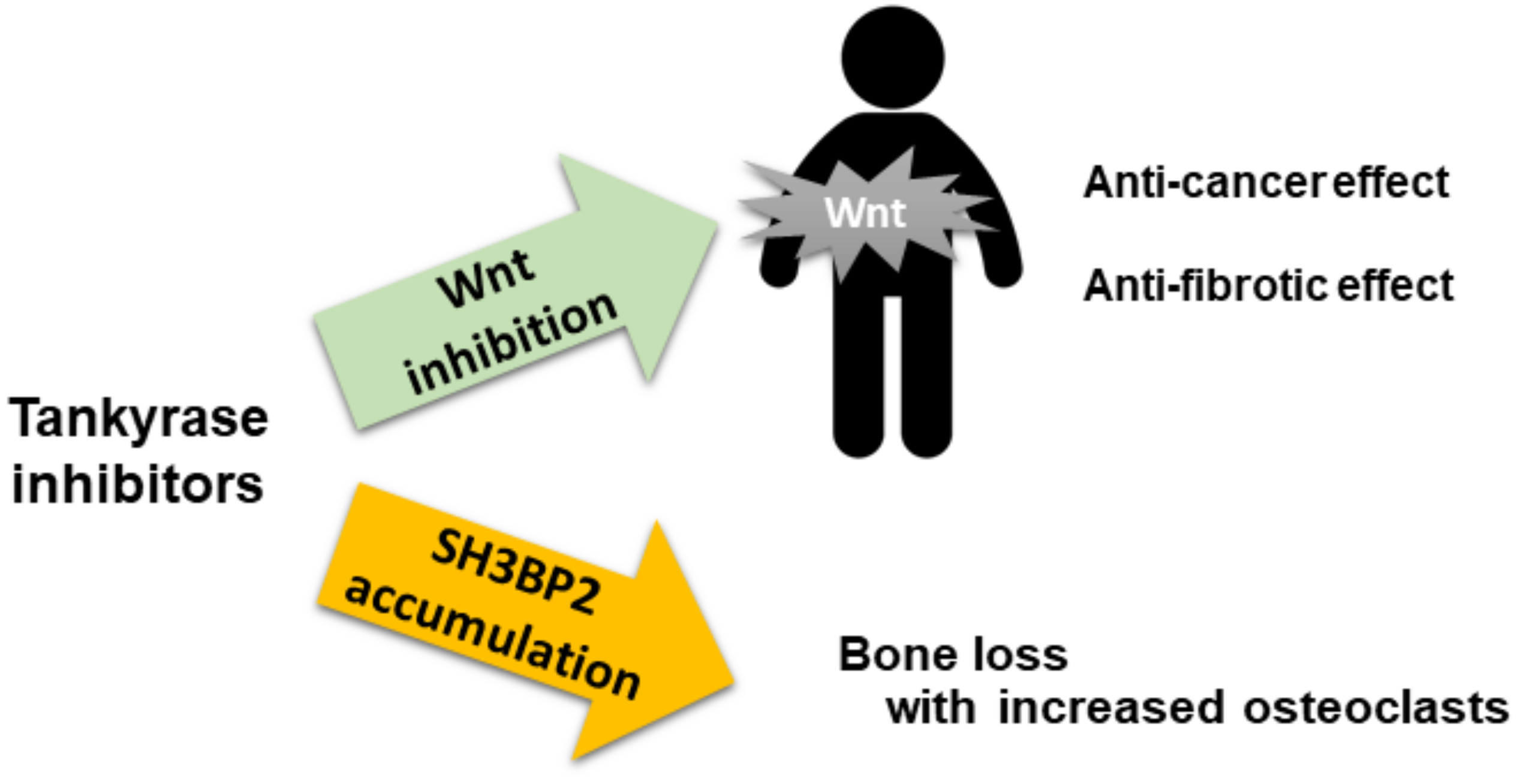Cells 08 00195 g006 Cells 08 00195 g006