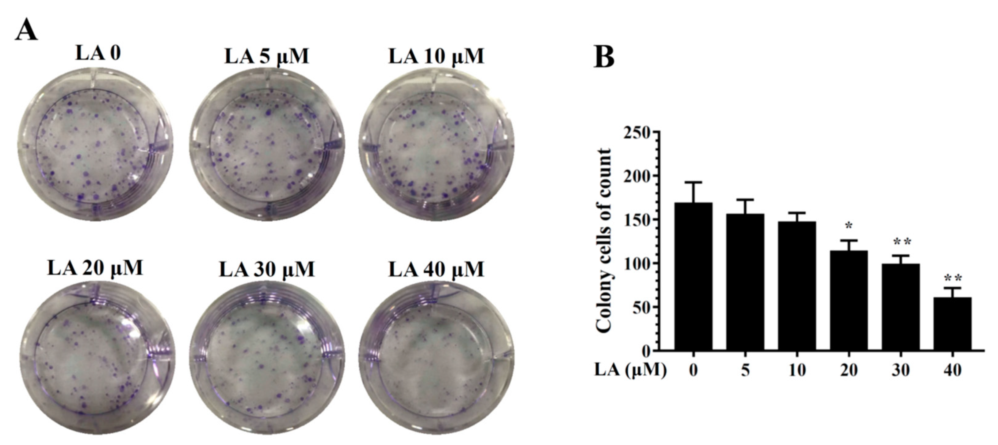 Cells 08 00218 g002