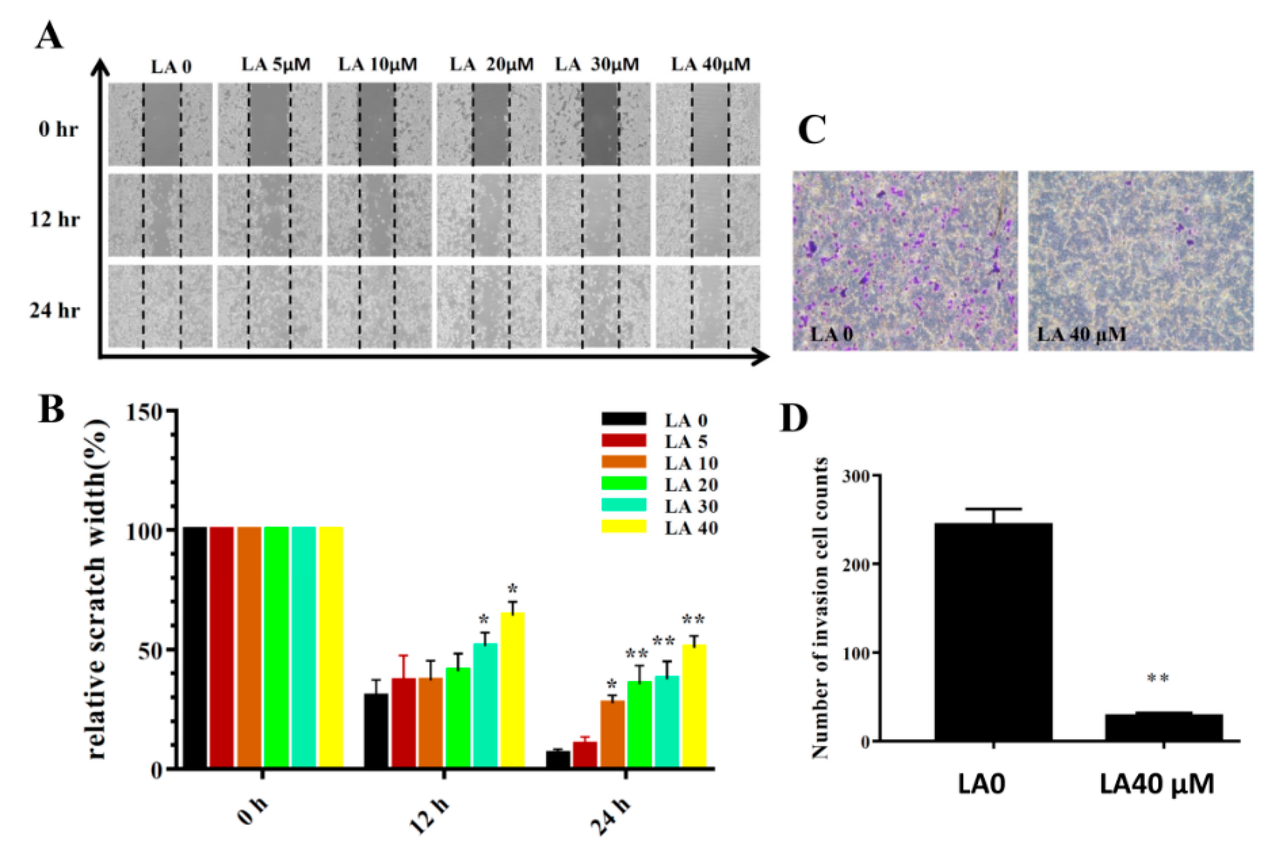 Cells 08 00218 g004