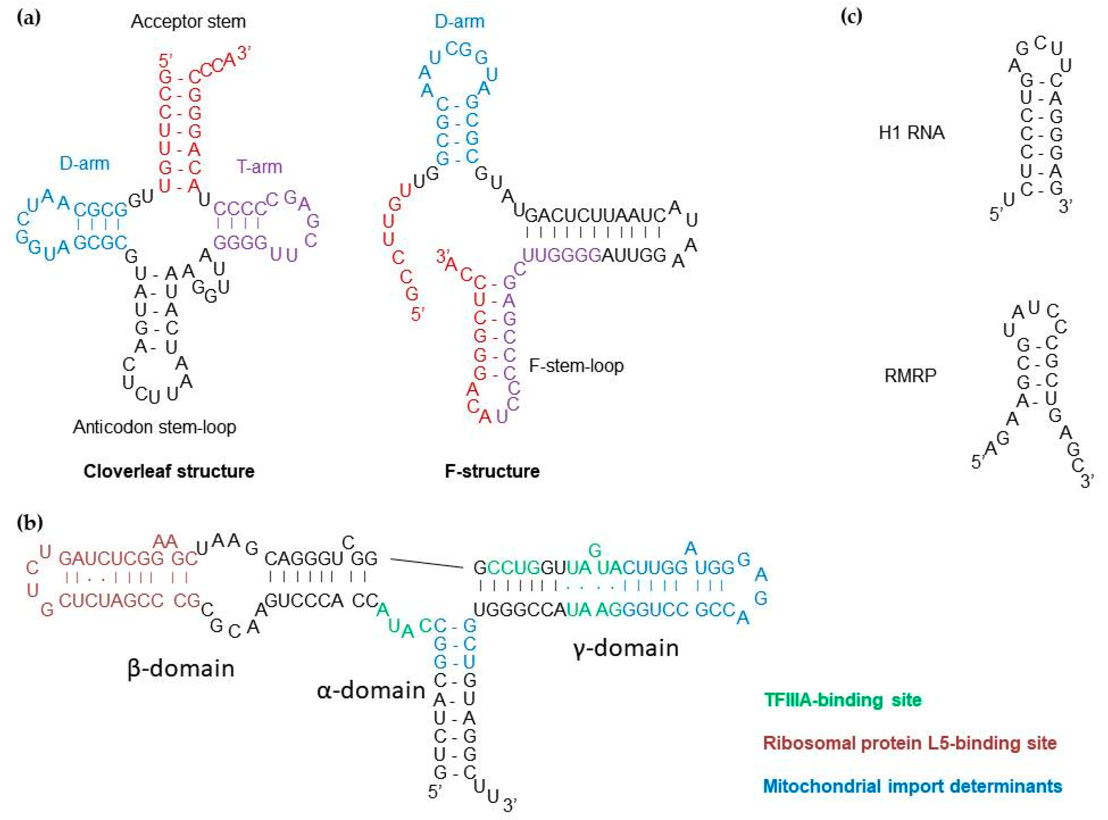Cells 08 00286 g003 Cells 08 00286 g003