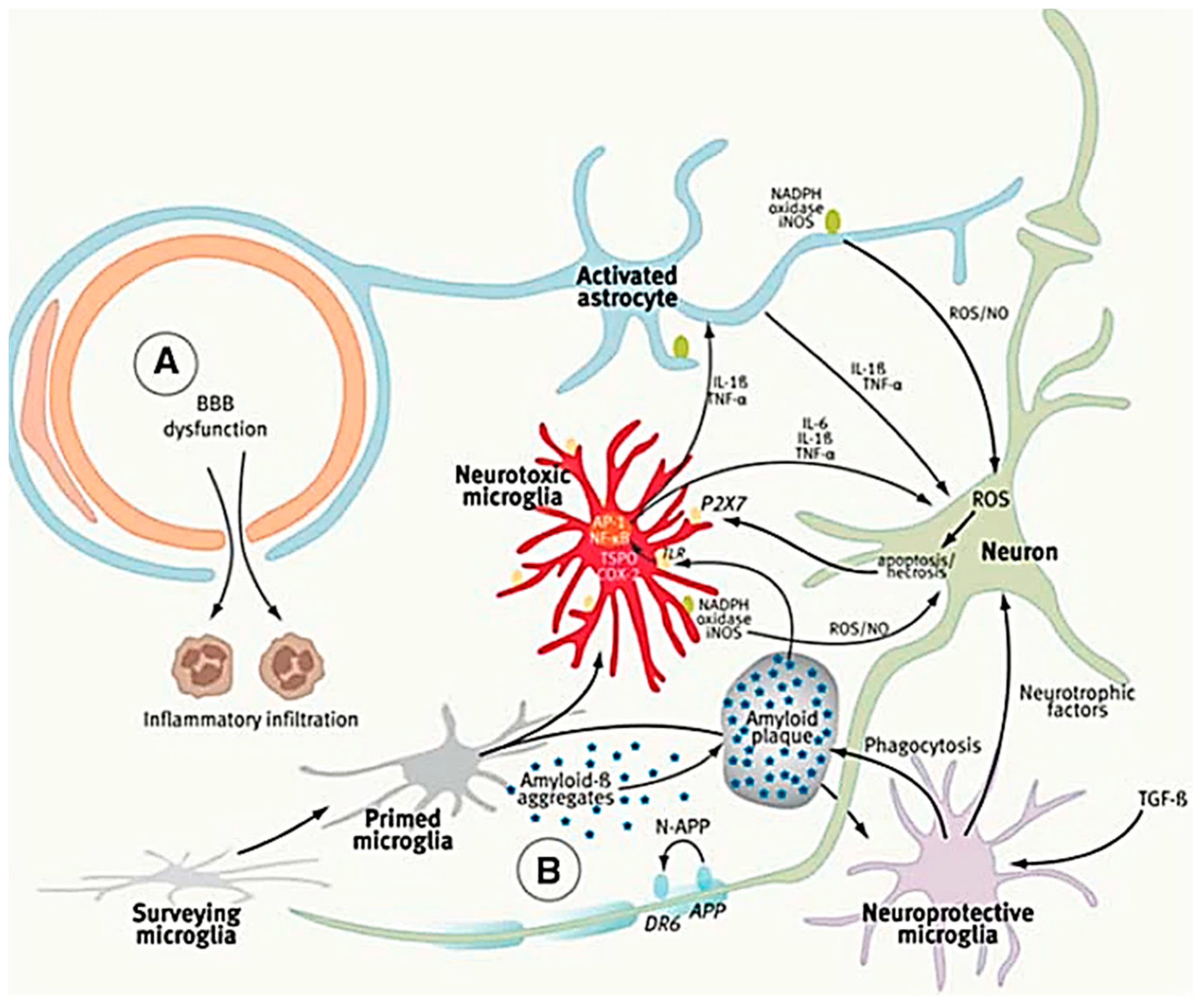 Cells 08 00299 g006 Cells 08 00299 g006
