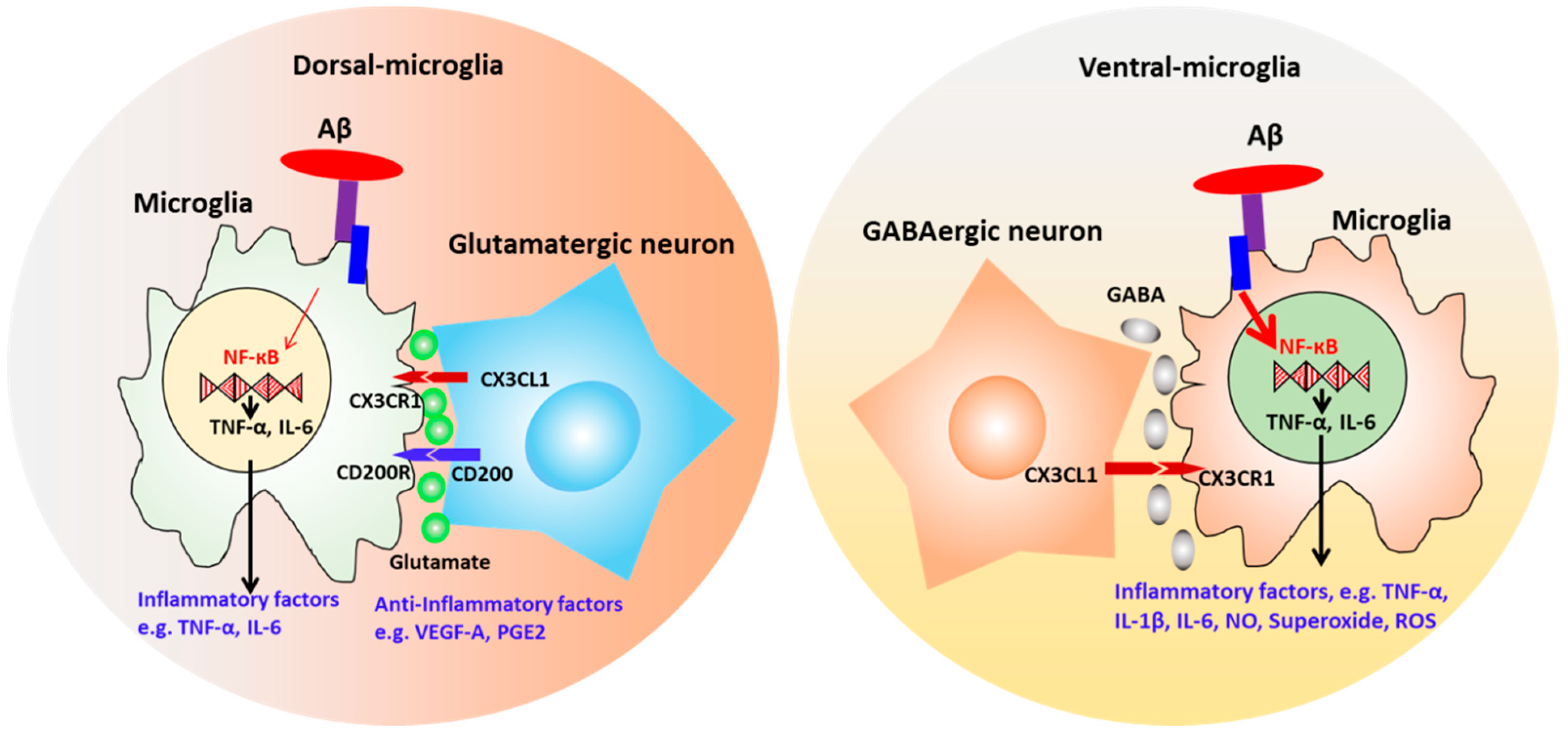 Cells 08 00299 g007 Cells 08 00299 g007